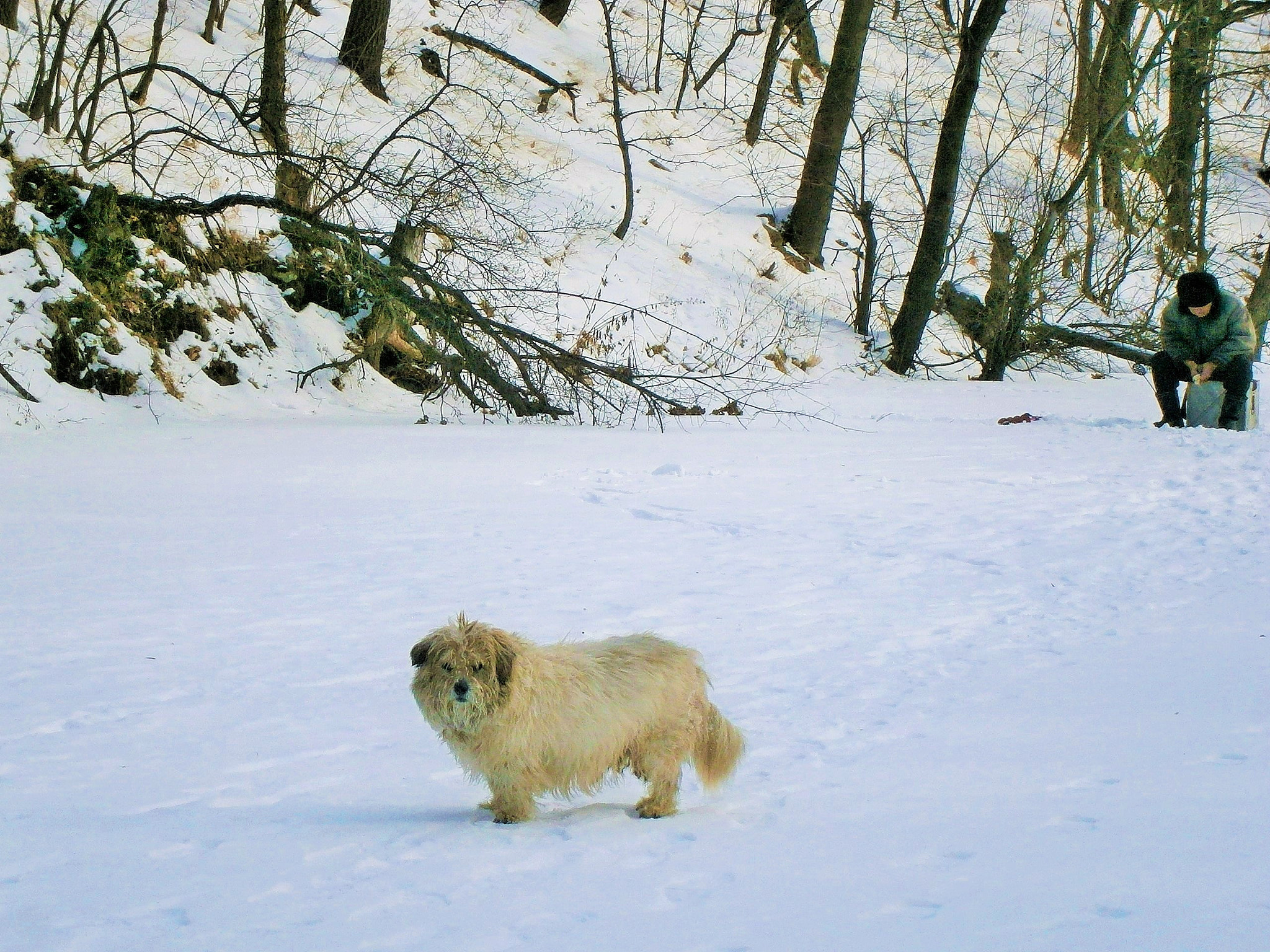 Olympus VG120,D705 sample photo. Зимняя рыбалка / snow and ice photography
