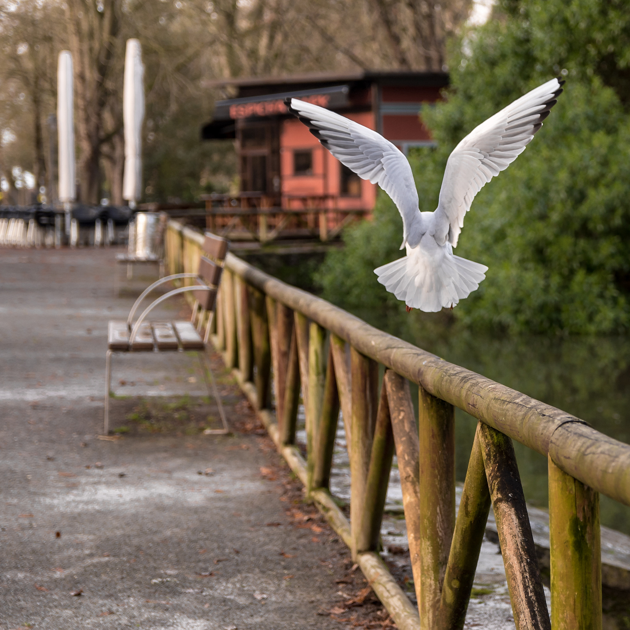 Sigma 17-50mm F2.8 EX DC OS HSM sample photo. Bye bye photography