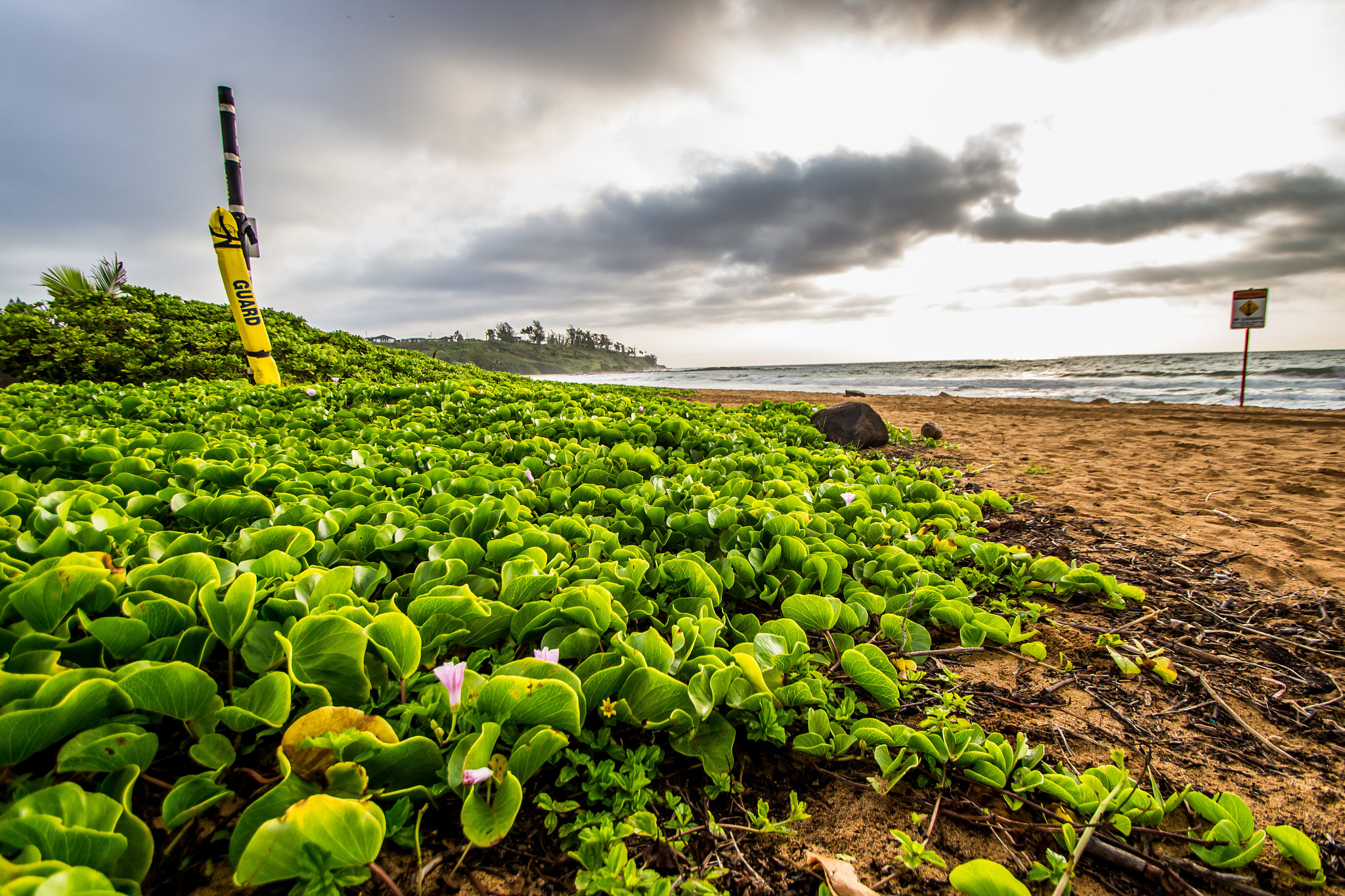 Sigma 10-20mm F3.5 EX DC HSM sample photo. Keālia beach | kapaa, hi photography