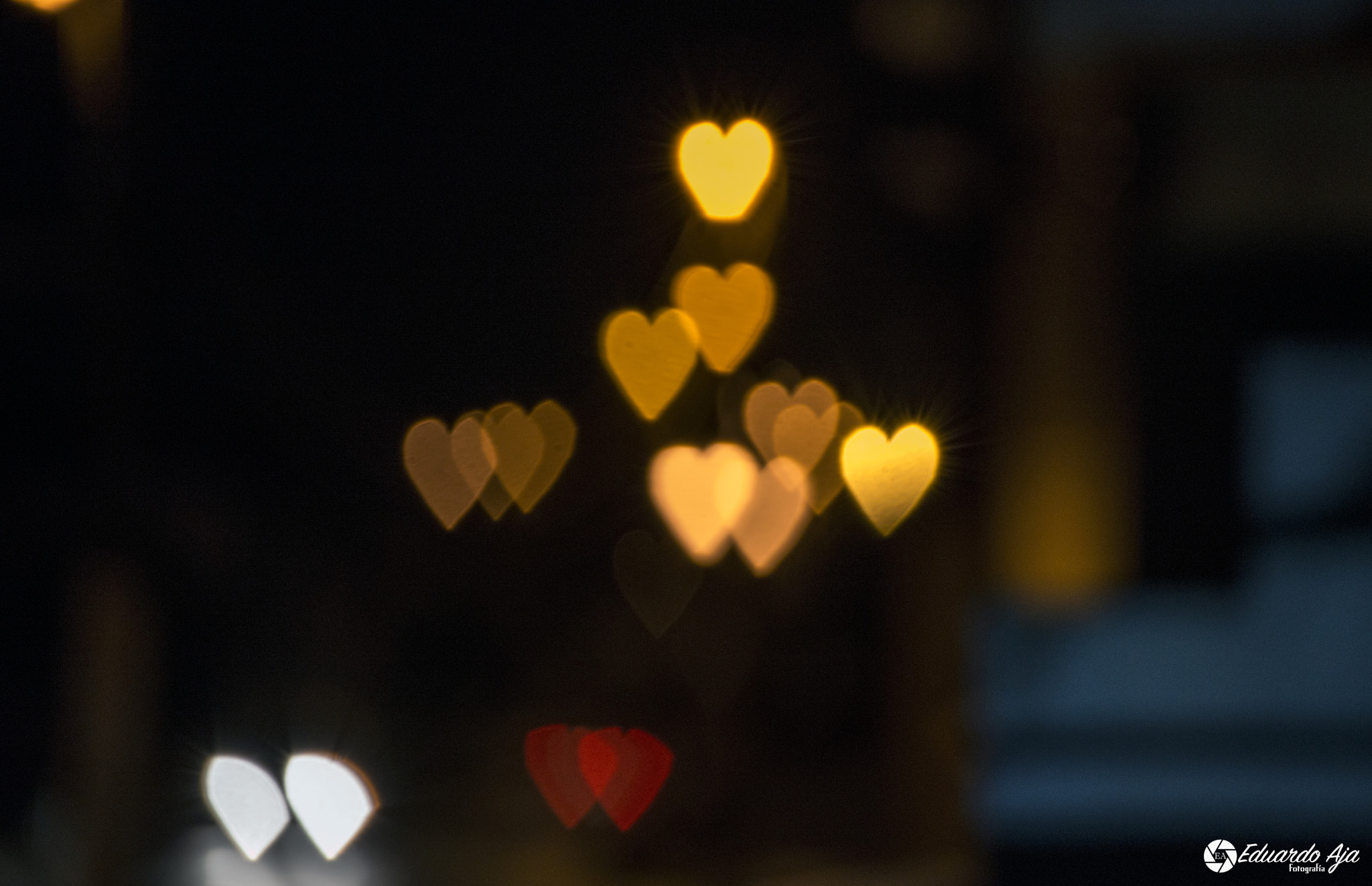Nikon D800 sample photo. Bokeh photography