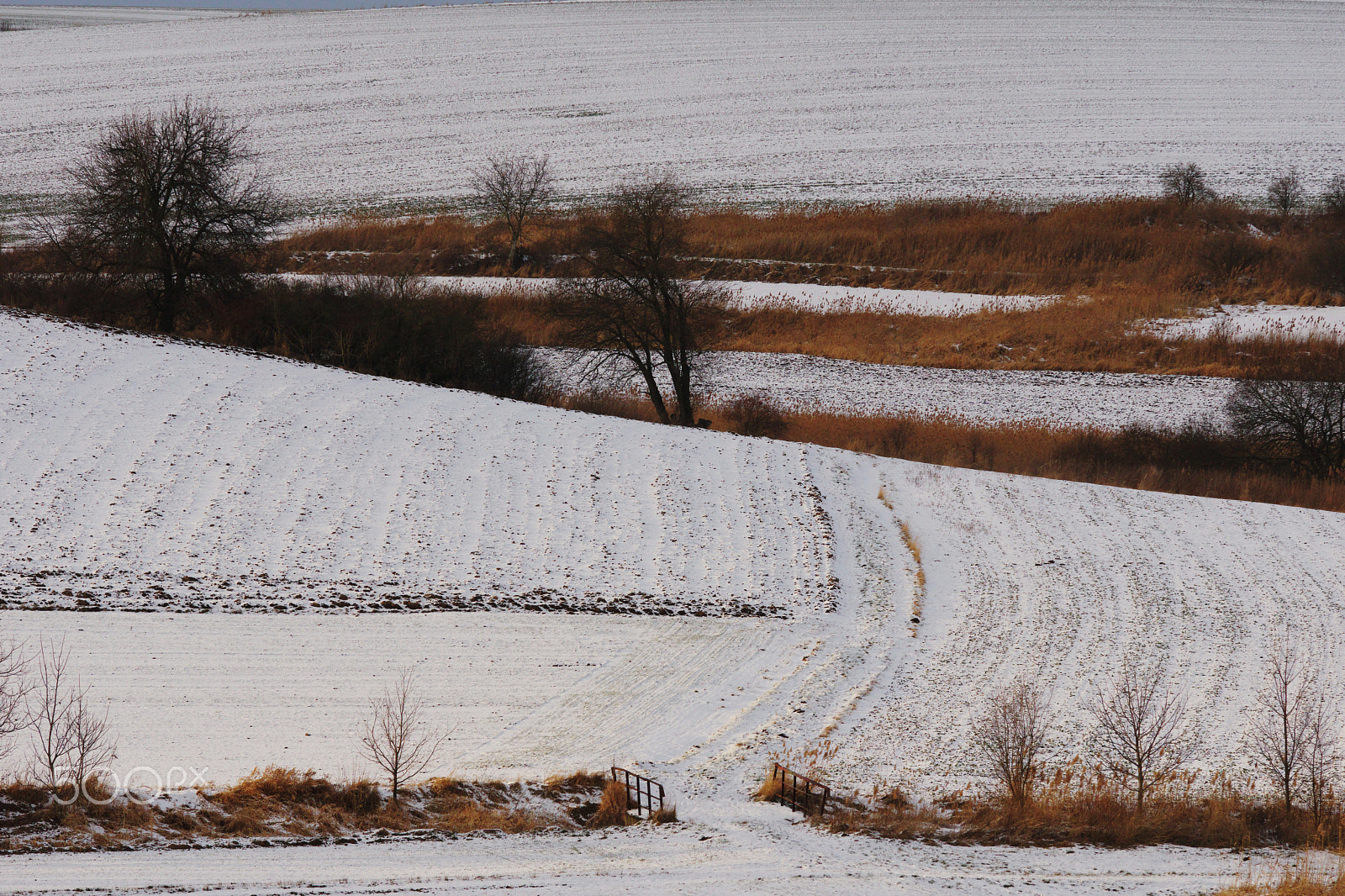 Pentax K-70 sample photo. Winter... photography
