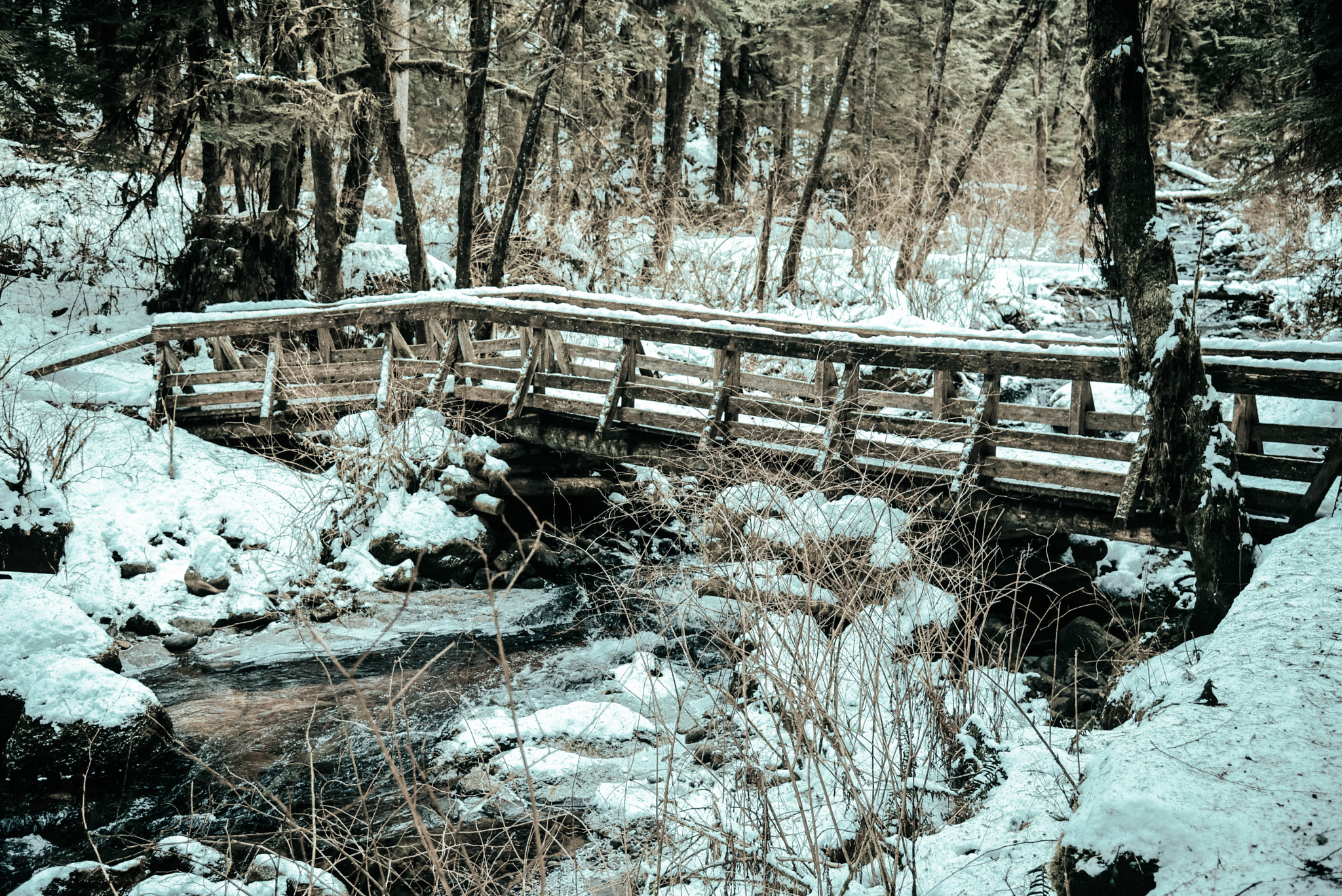 AF-S Nikkor 300mm f/2.8D IF-ED II sample photo. The wooden bridge photography