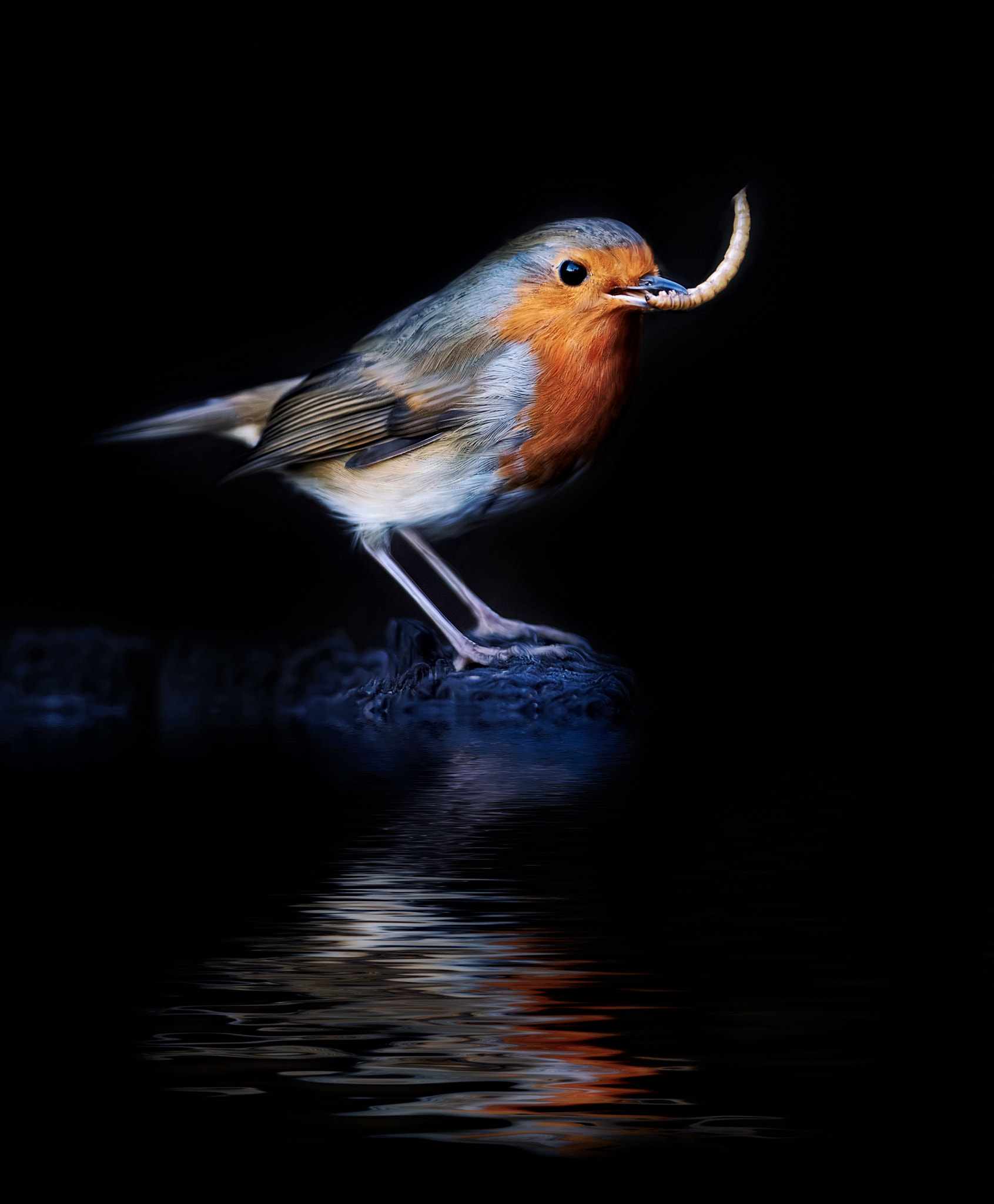 Canon EF 300mm F2.8L IS USM sample photo. Early bird catches the....... photography