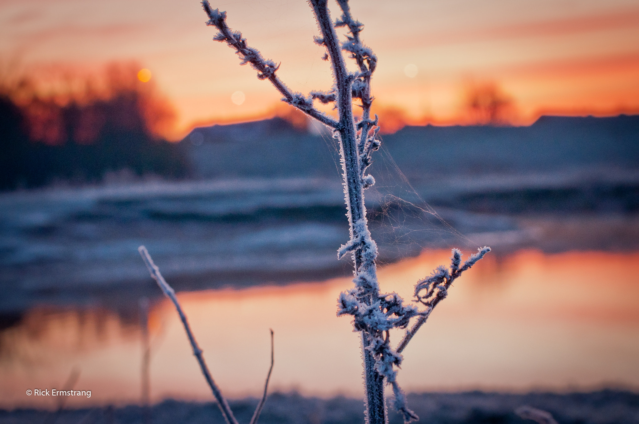 Nikon D90 sample photo. Frosty sunset photography