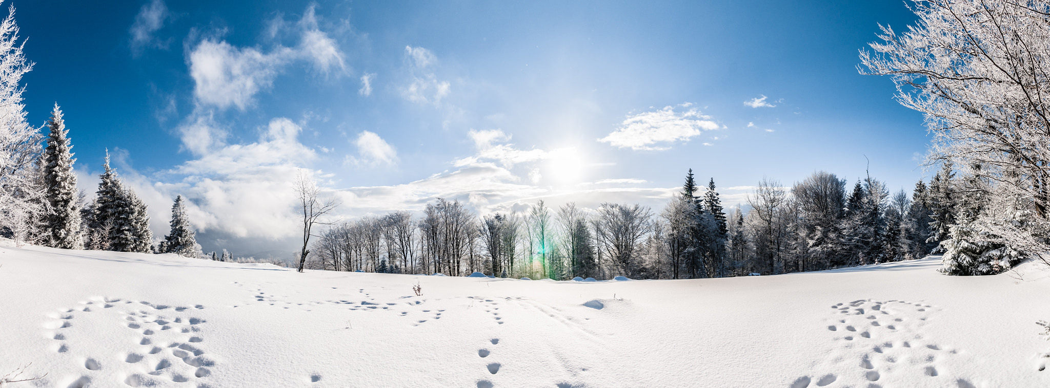 Sony DT 16-105mm F3.5-5.6 sample photo. Magurka i photography