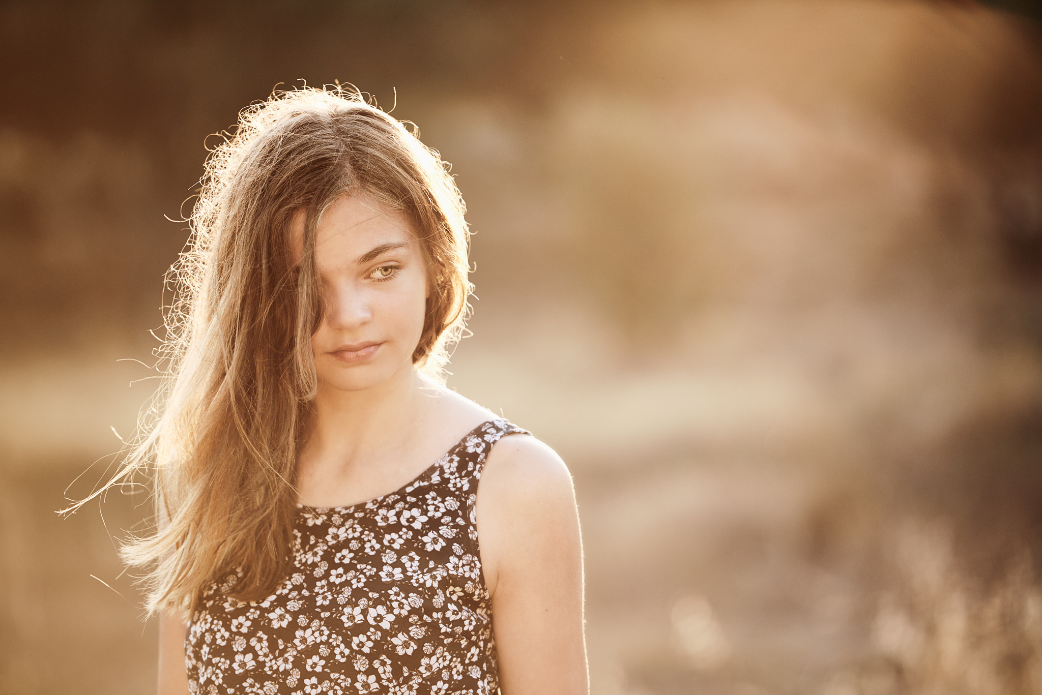 Nikon D800 sample photo. Sunny afternoon photography