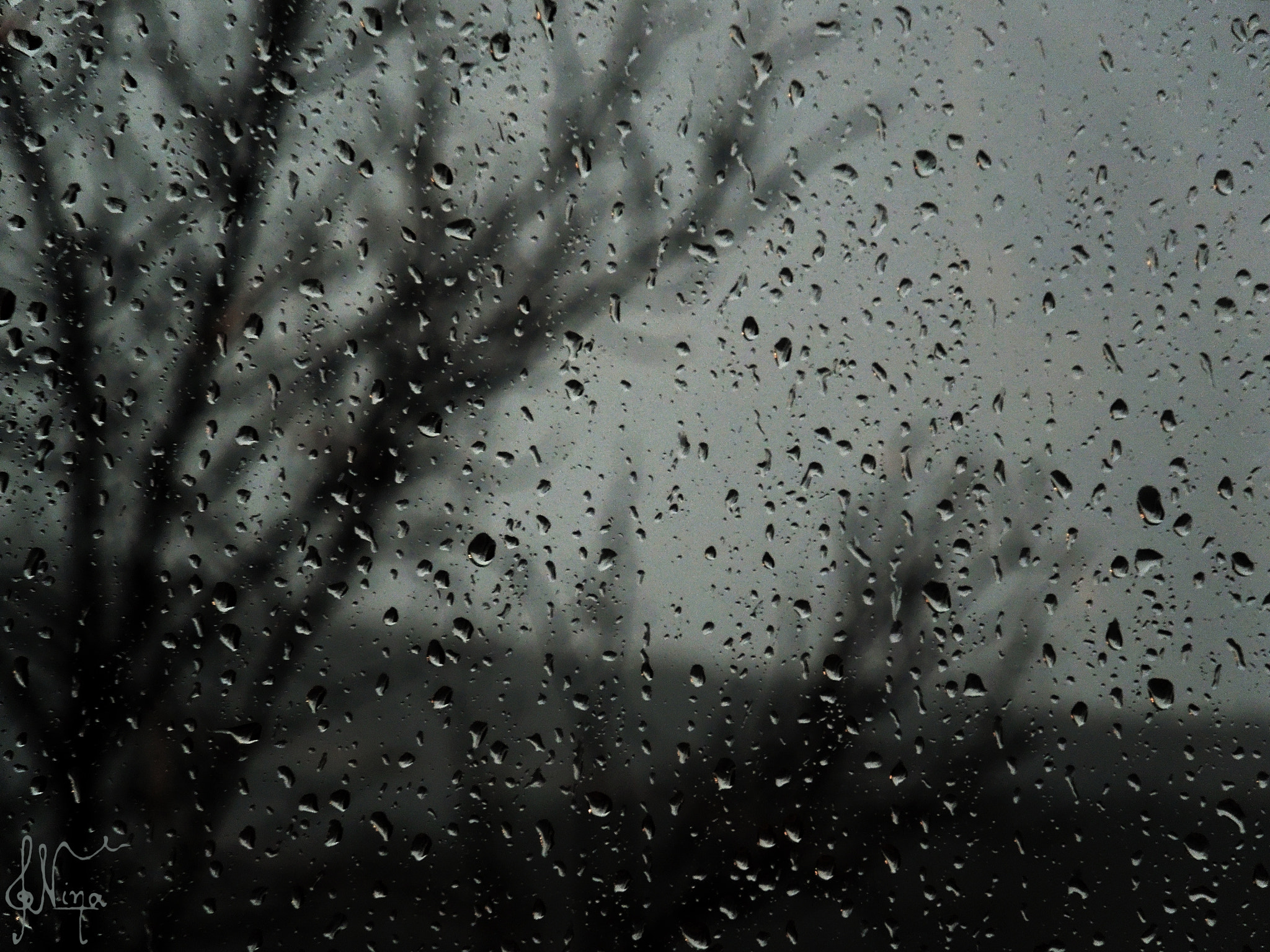 Nikon Coolpix S8200 sample photo. Rainy window photography