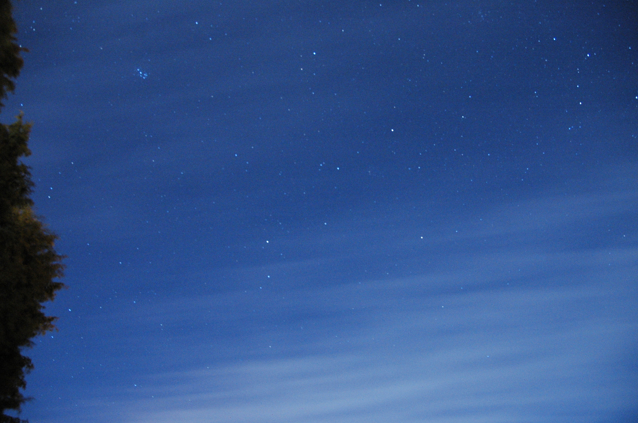 Nikon D70 + Sigma 18-50mm F2.8 EX DC sample photo