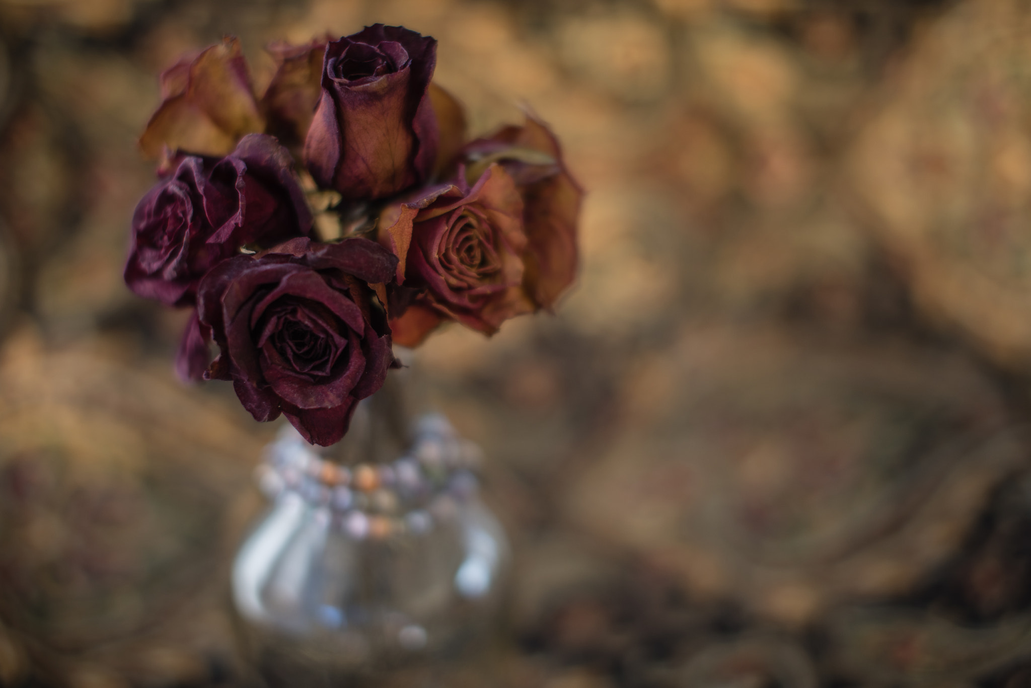 Nikon D810 + Sigma 50mm F1.4 EX DG HSM sample photo. Dried roses arranged still life photography