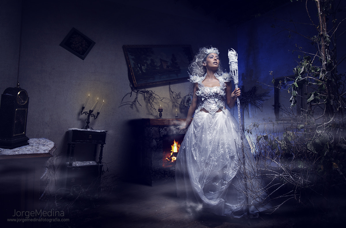 Nikon D3 sample photo. Ice2 photography