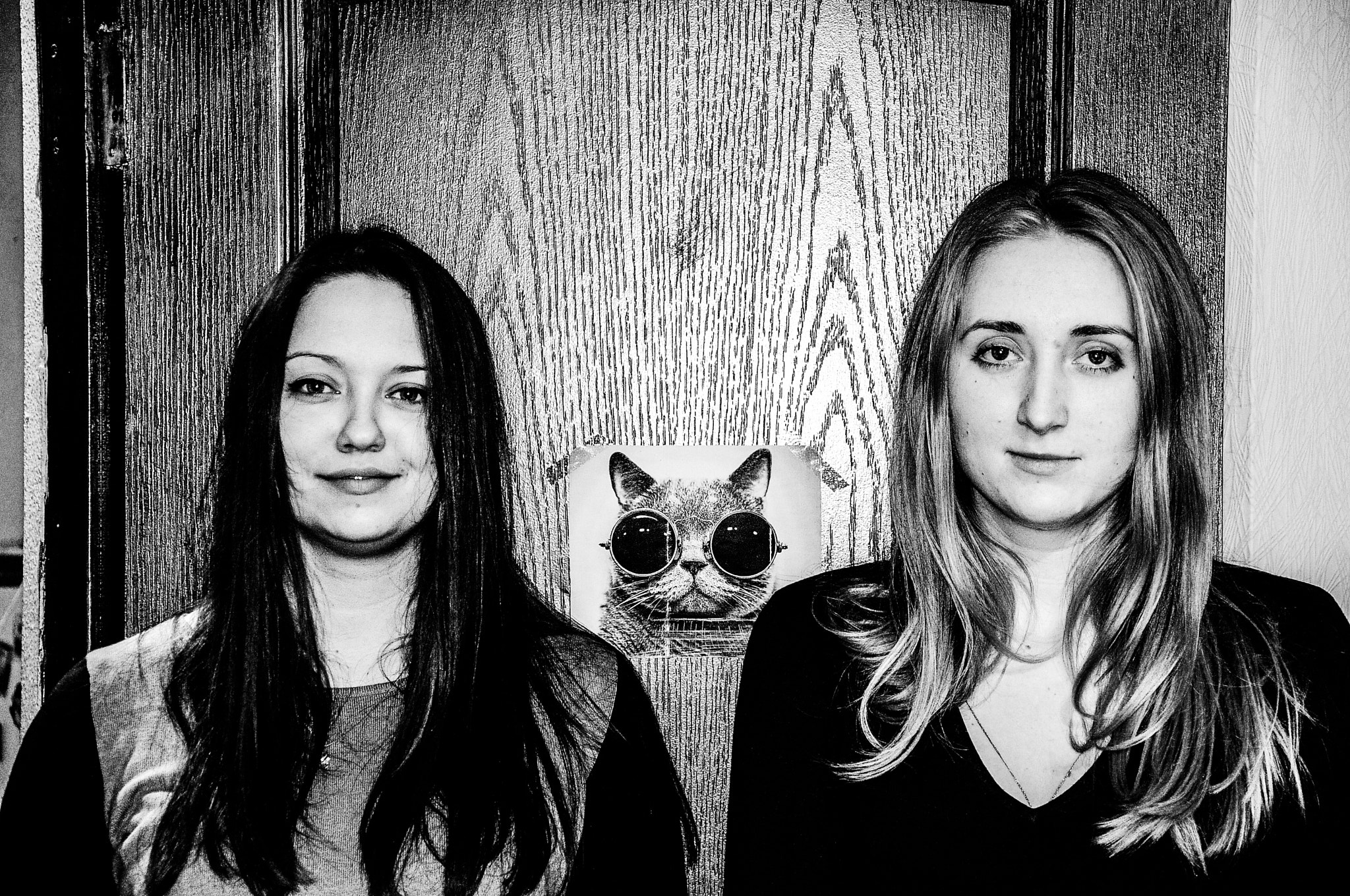 Nikon D300 sample photo. Three kitties photography