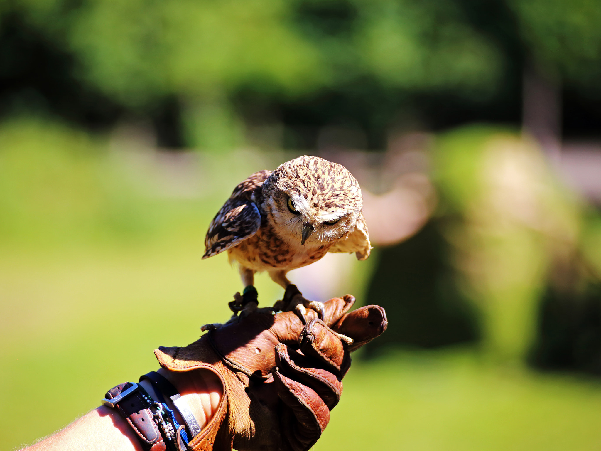 v2?sig=be99232aba017cadc9df7e677bbcddb5599339d2841c001a0fe48bbe1f2d302a