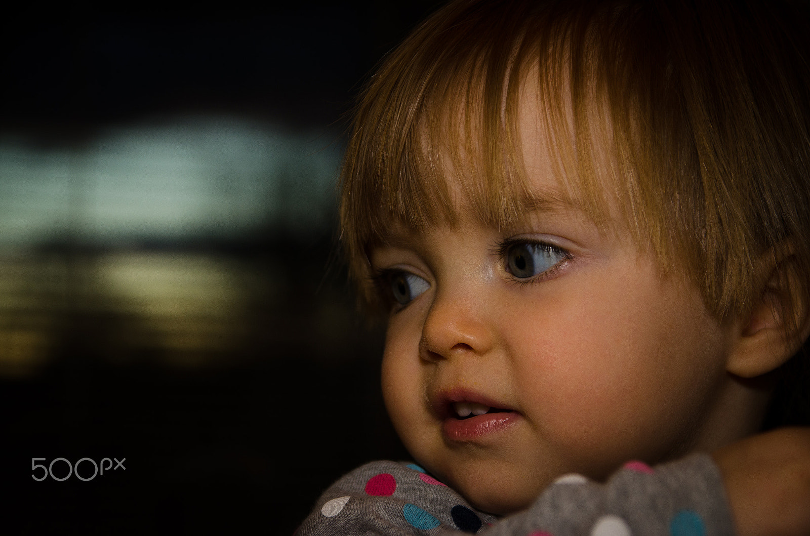 Sigma 17-70mm F2.8-4 DC Macro OS HSM sample photo. Katarina photography