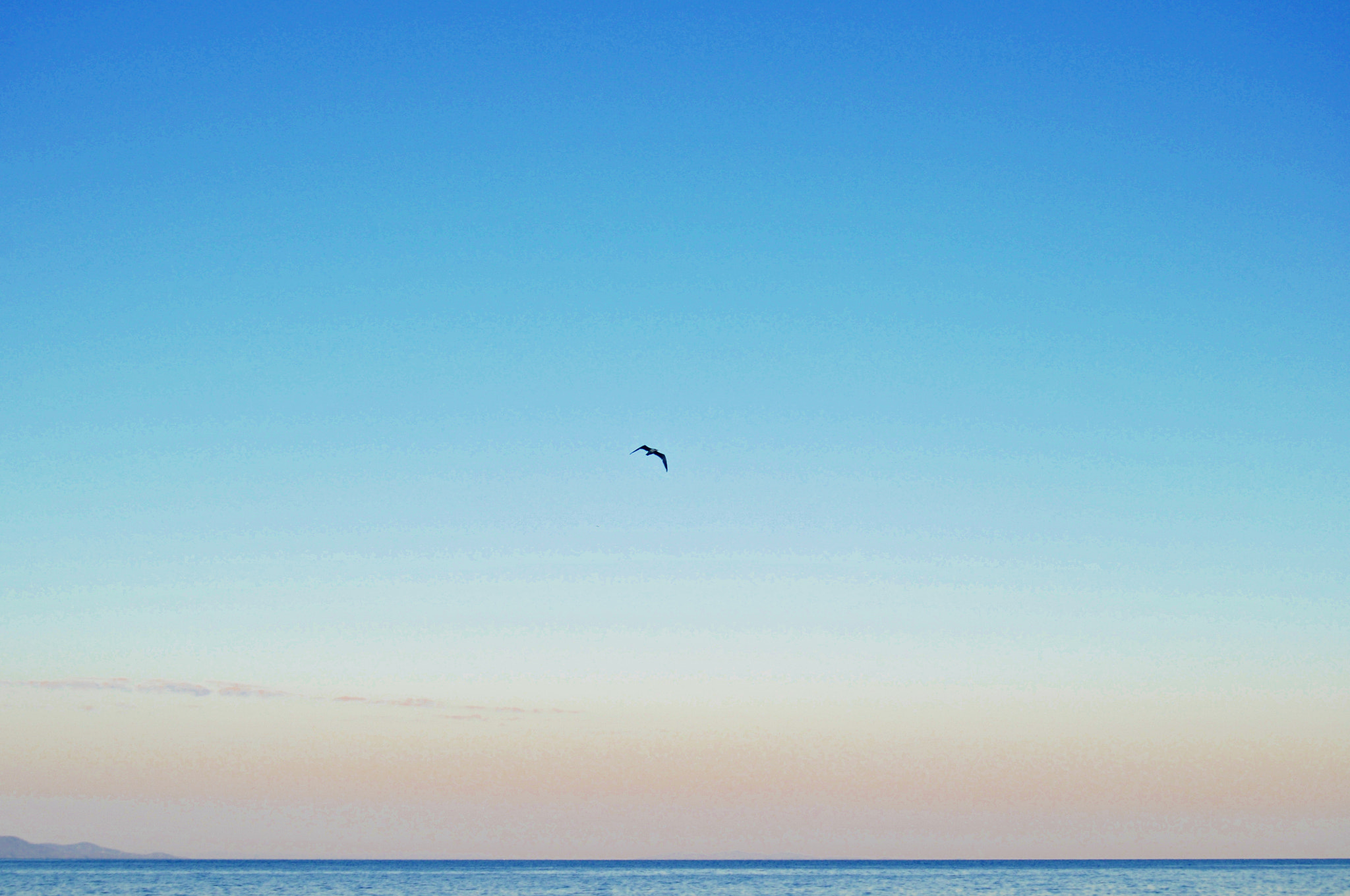 Nikon D300 sample photo. Minimal photography