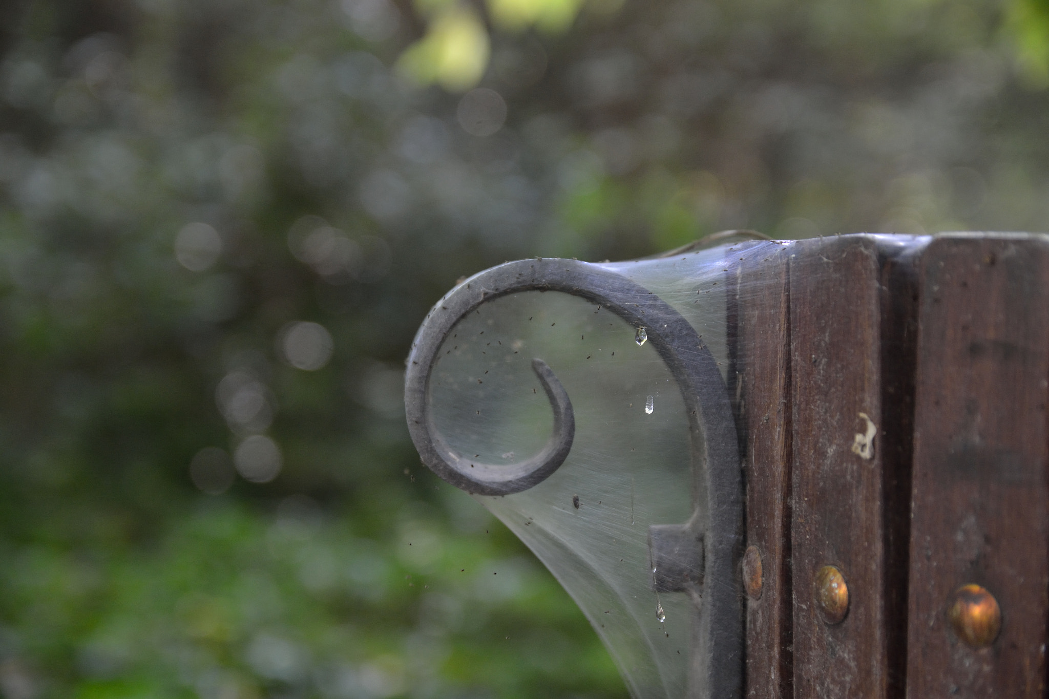 Sigma 17-50mm F2.8 EX DC OS HSM sample photo. Dsc photography