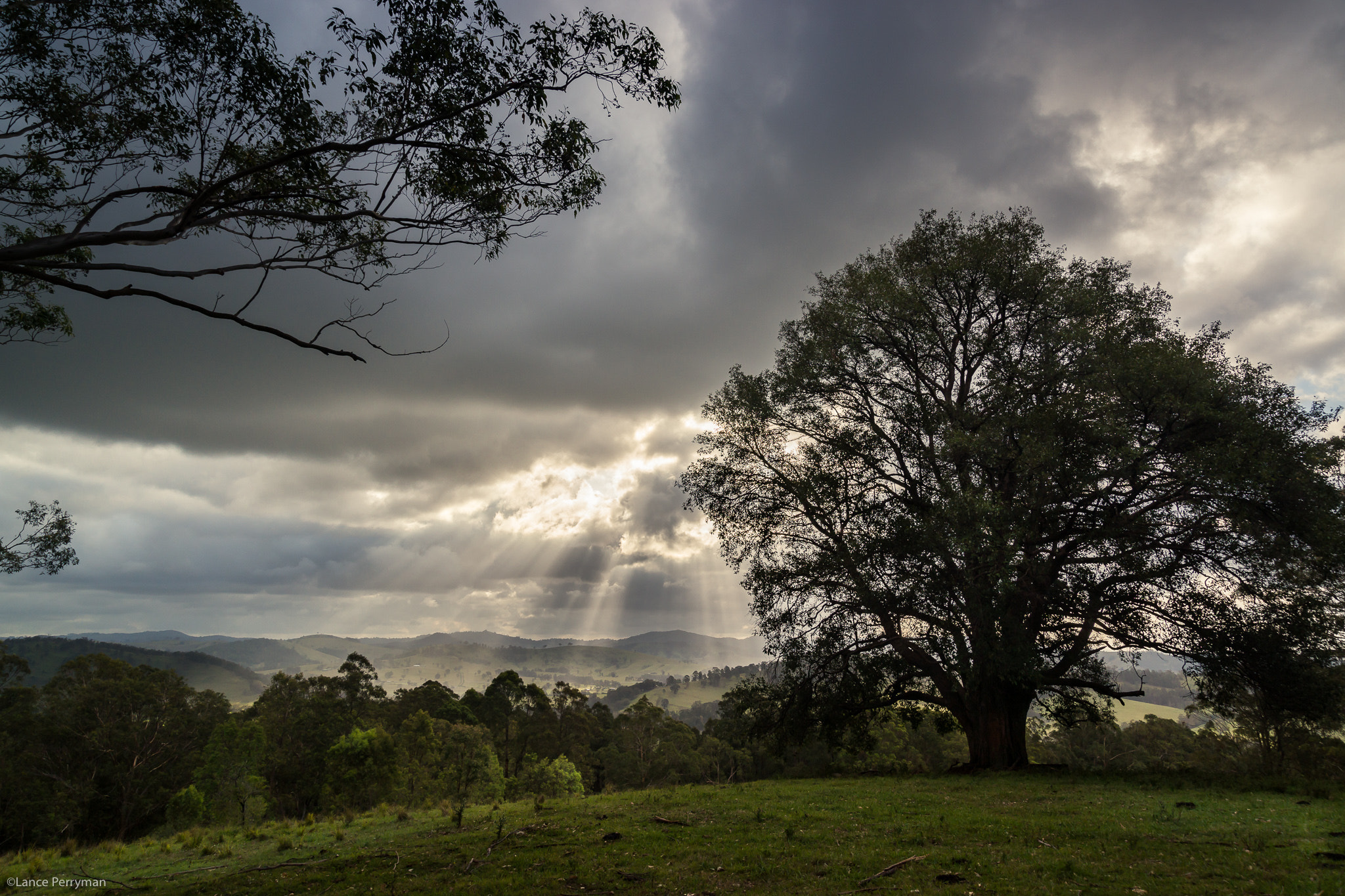 Sony a99 II + 24-105mm F4 sample photo. Dungog sunrise photography