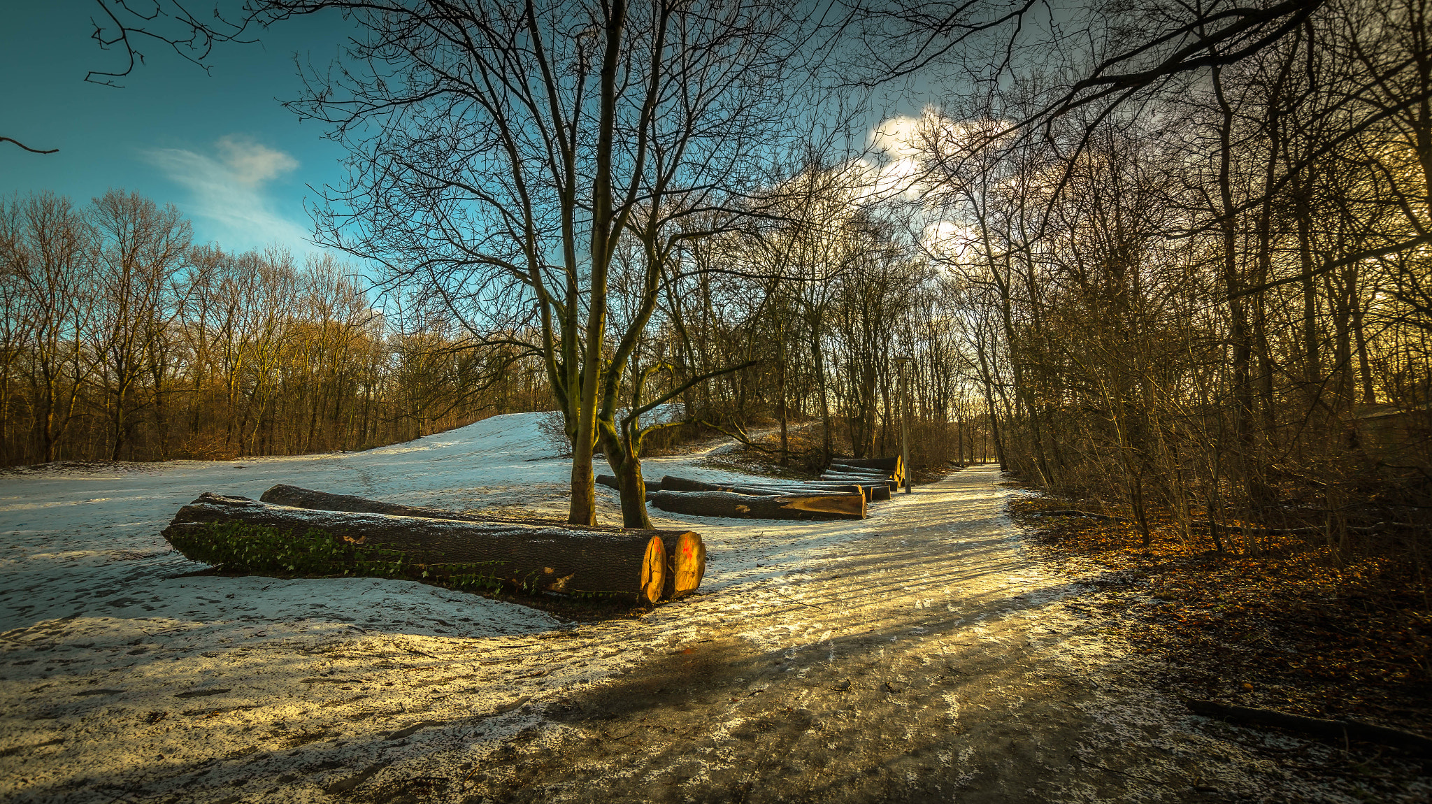 Sony SLT-A58 sample photo. Forest paths photography