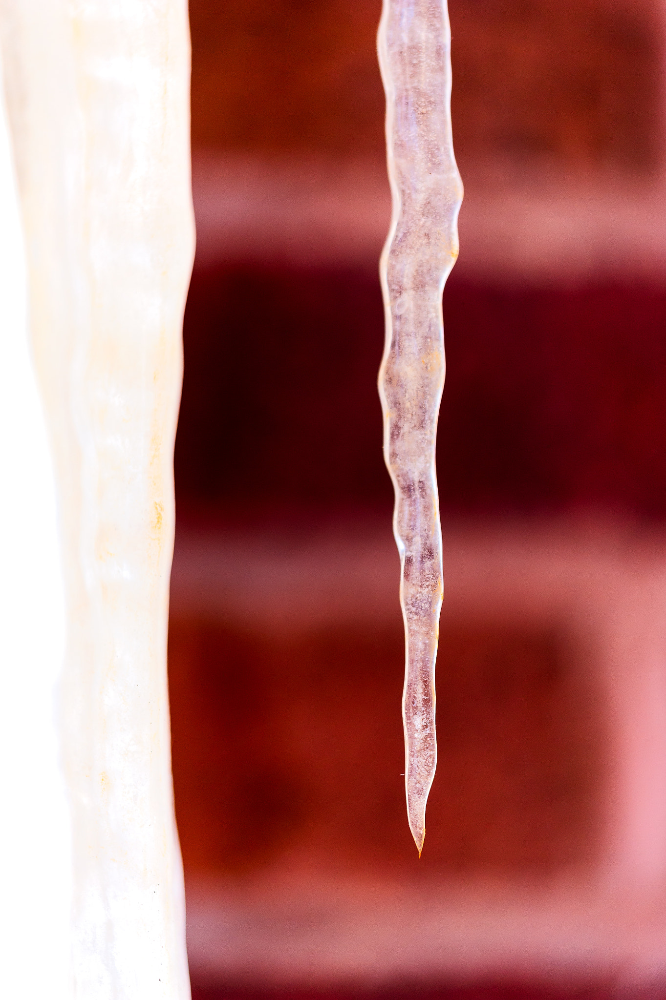 Sigma 150mm F2.8 EX DG Macro HSM sample photo. Icicle photography