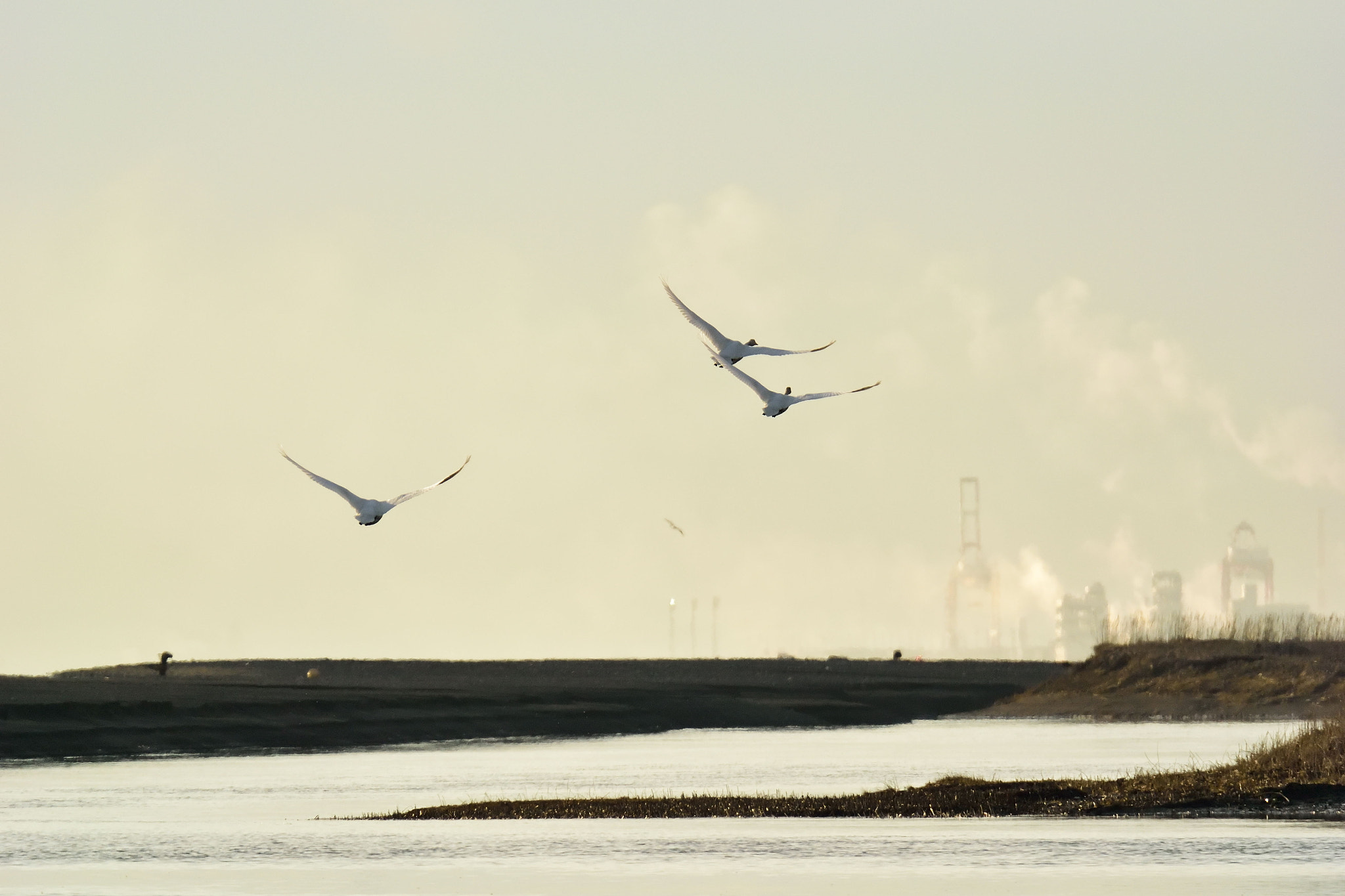 Nikon 1 V3 sample photo. Departure photography
