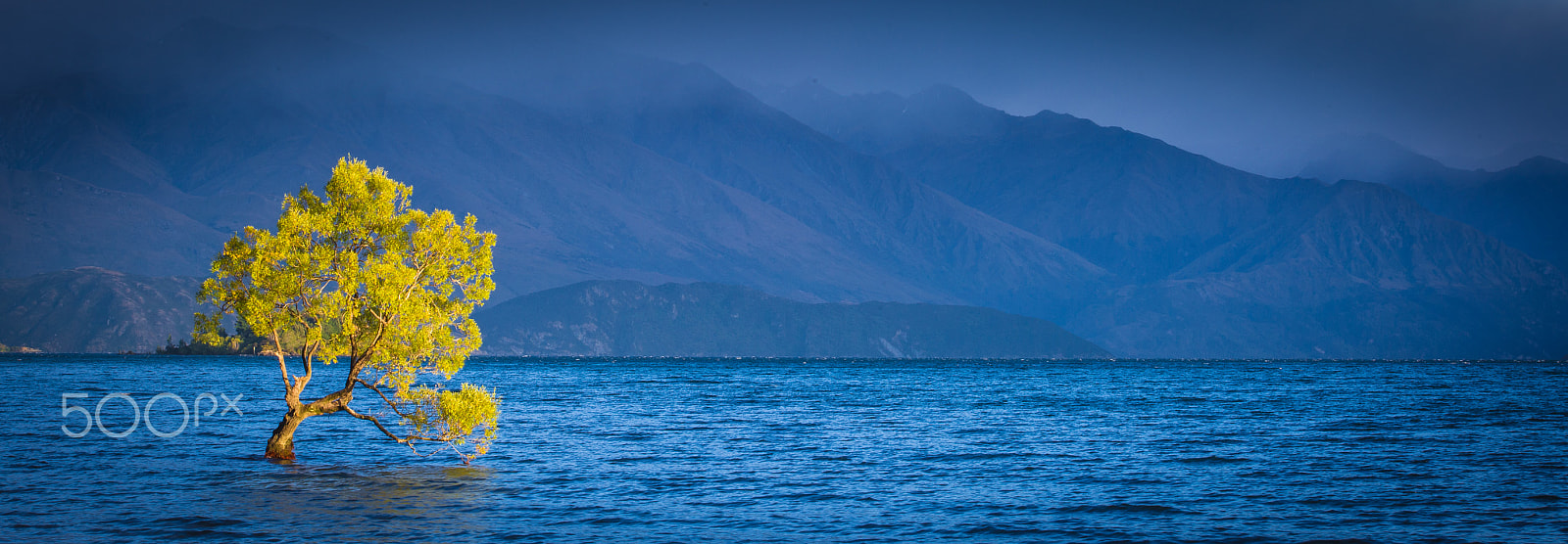 Canon EF 75-300mm f/4-5.6 USM sample photo. Lone willow. photography