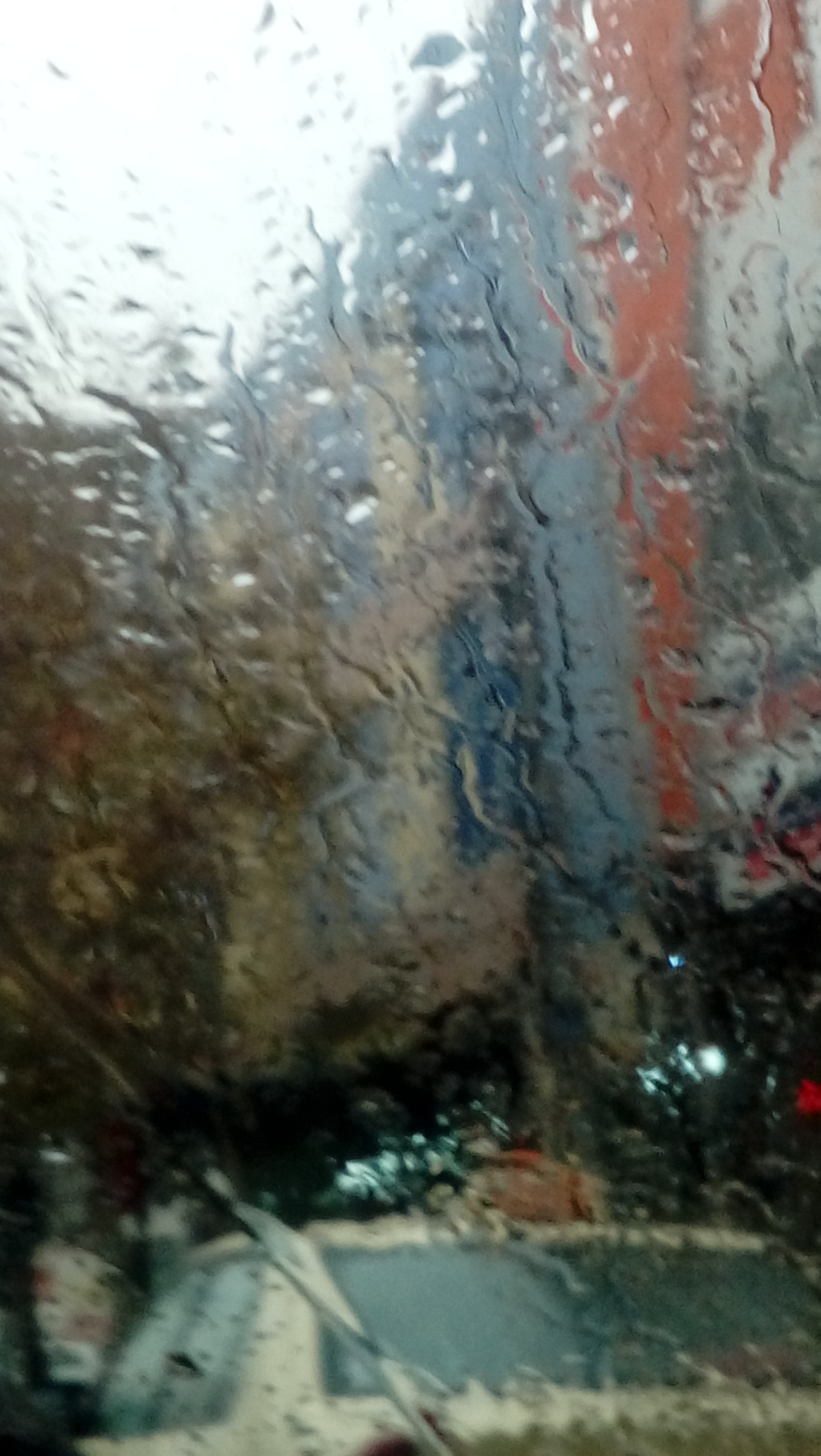 LG K350N sample photo