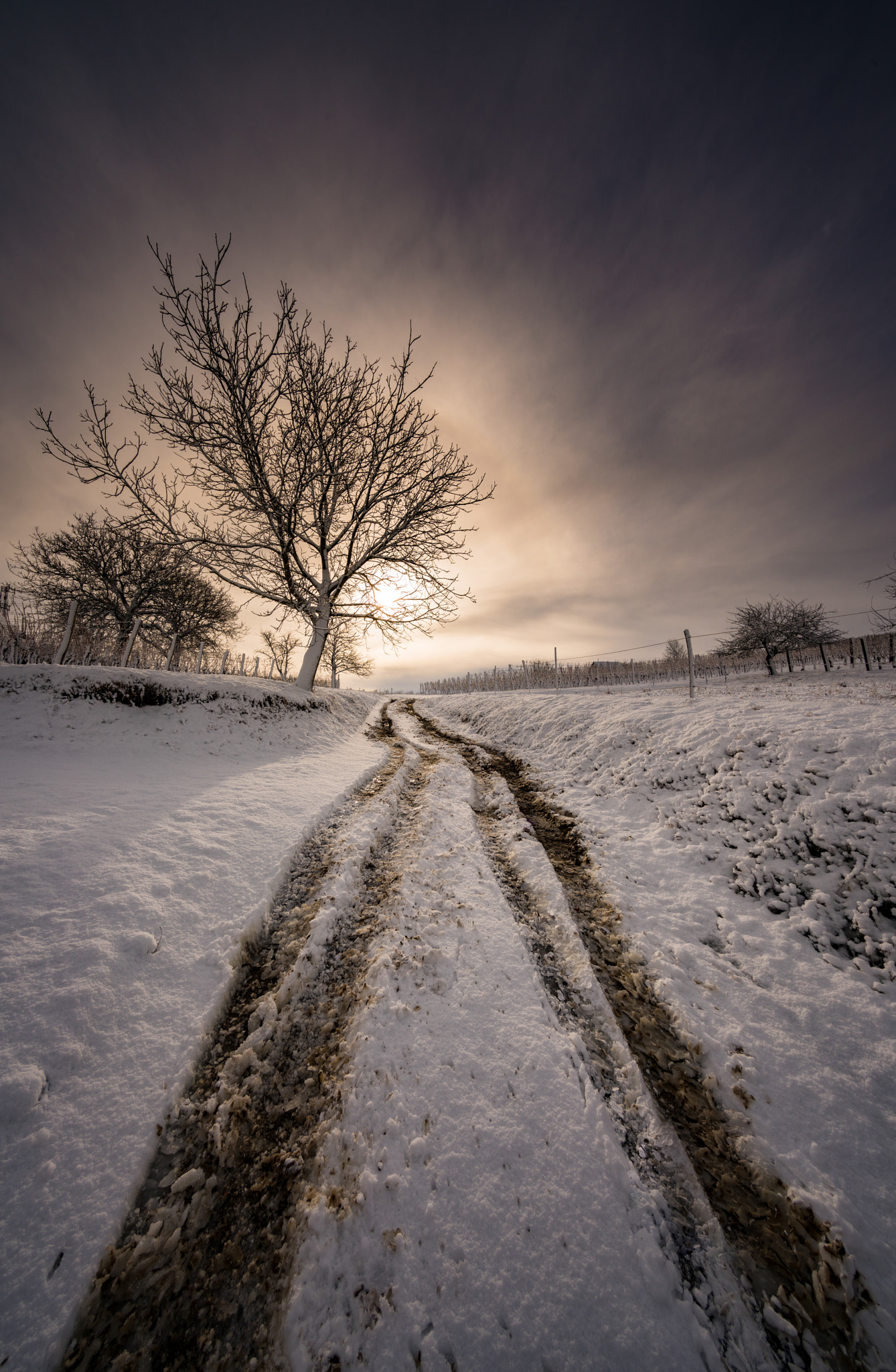Sony a7R II + Voigtlander HELIAR-HYPER WIDE 10mm F5.6 sample photo. Morning impressions photography