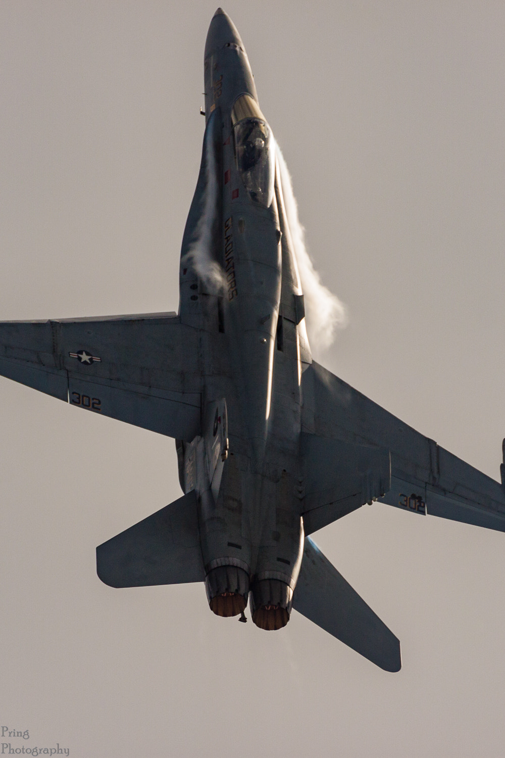 150-600mm F5-6.3 DG OS HSM | Contemporary 015 sample photo. F-18 hornet at stuart airshow 2016 photography