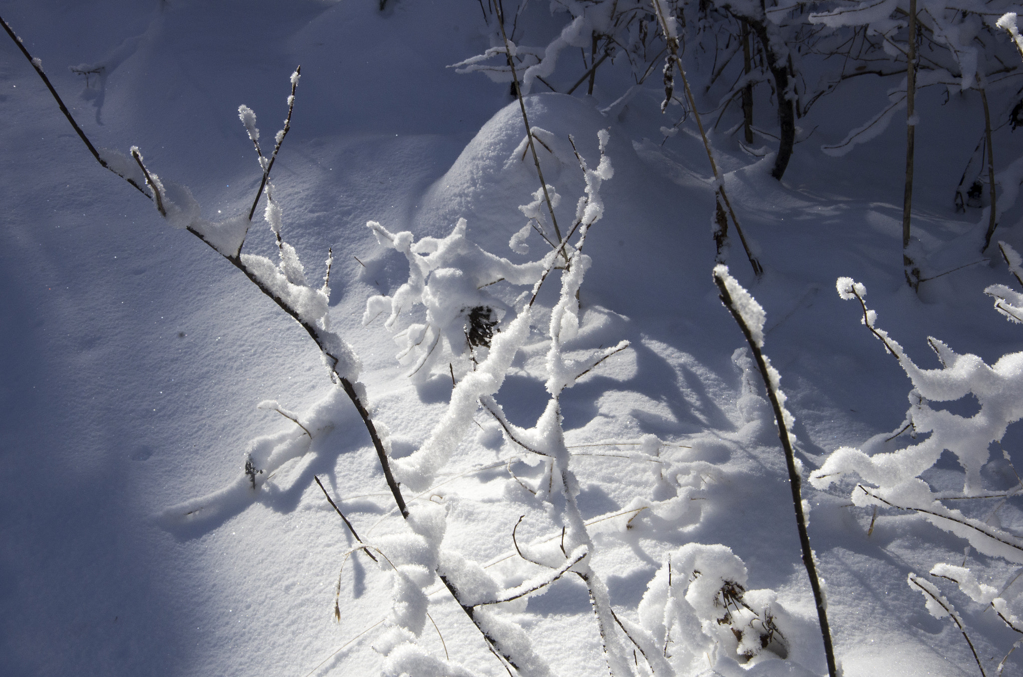 Pentax K-5 sample photo. Valbruna photography