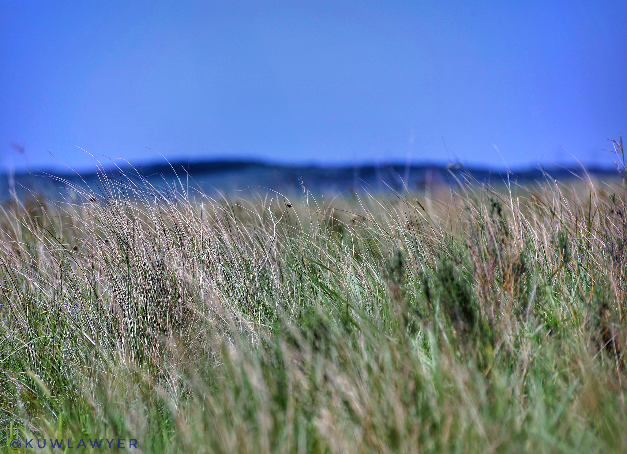 Canon EOS 6D + Canon 70-300mm sample photo. Sag photography