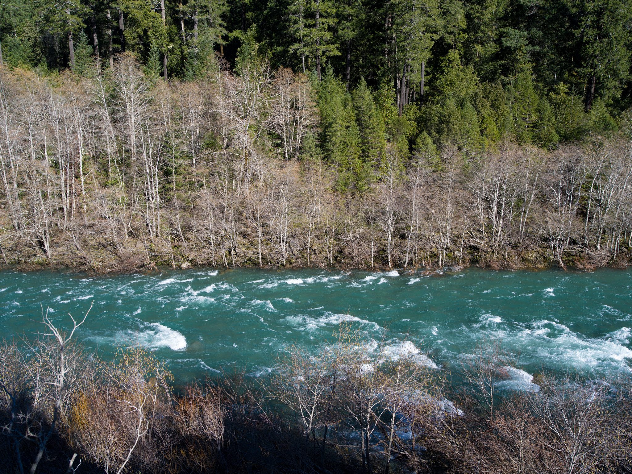 Pentax 645Z + HD Pentax-D FA645 35mm F3.5 AL [IF] sample photo. Cedar flat, smith river photography