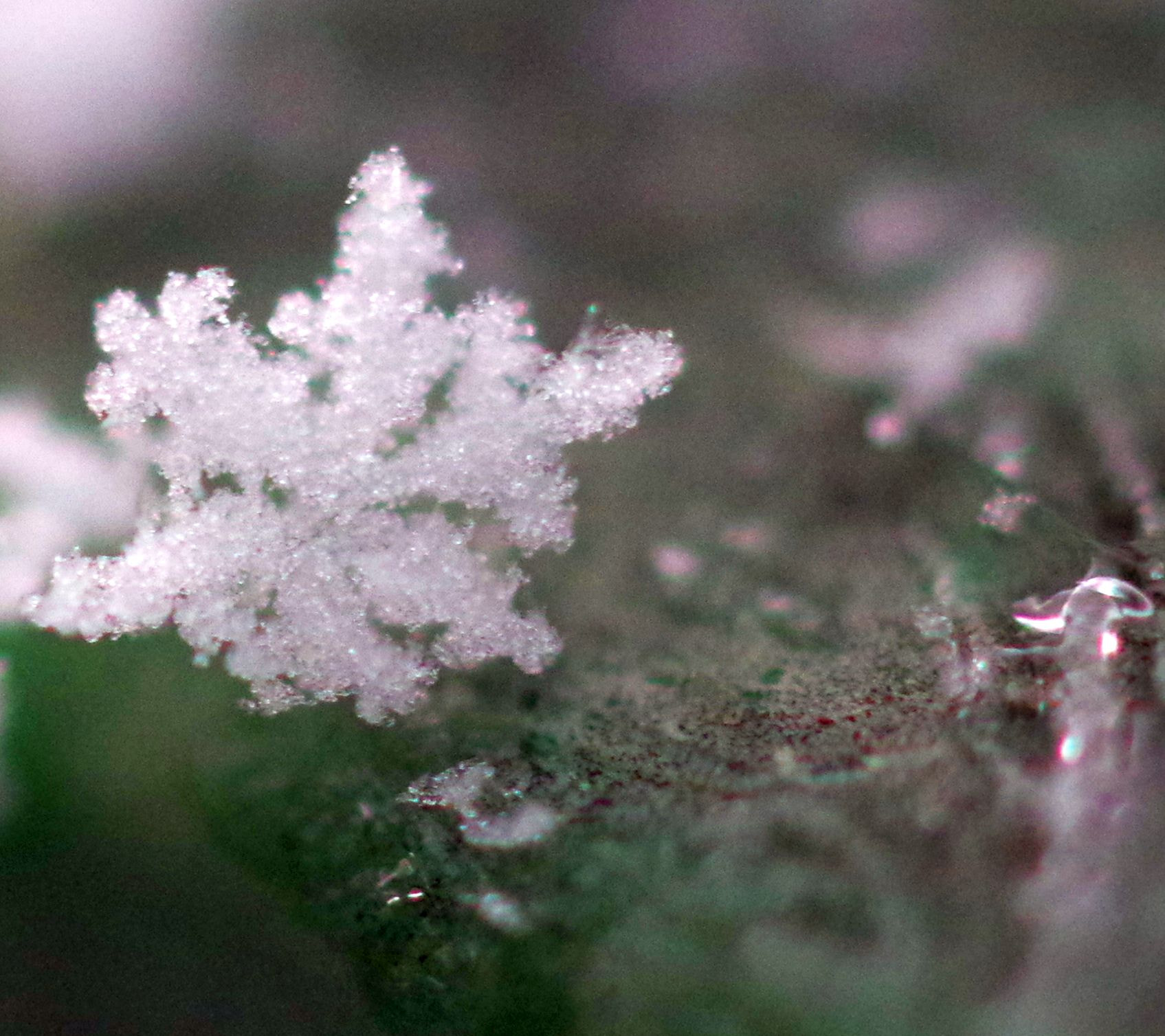 Pentax smc DA 35mm F2.8 Macro Limited sample photo. Snow crystal photography