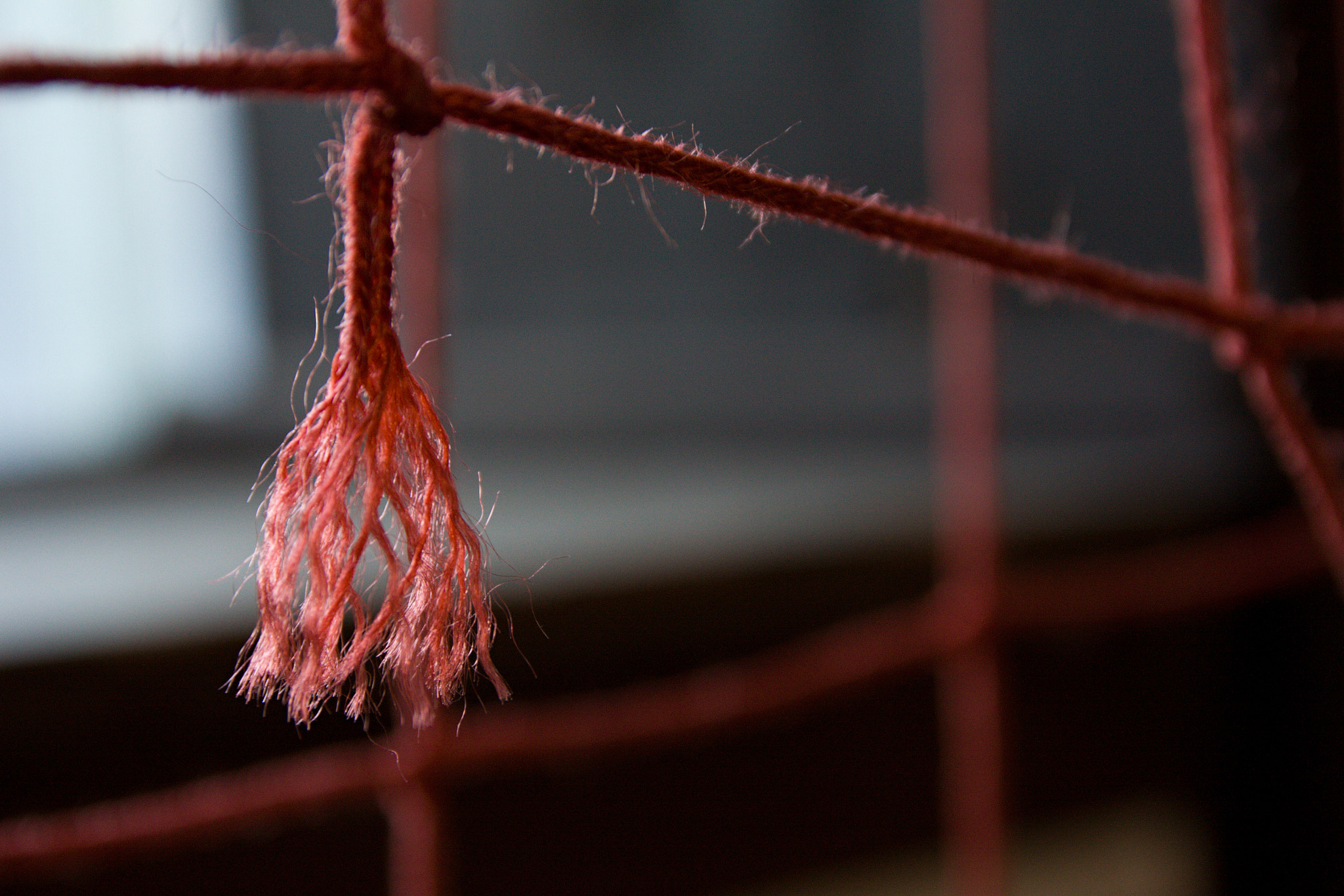 17.00 - 70.00 mm sample photo. Lost conection photography