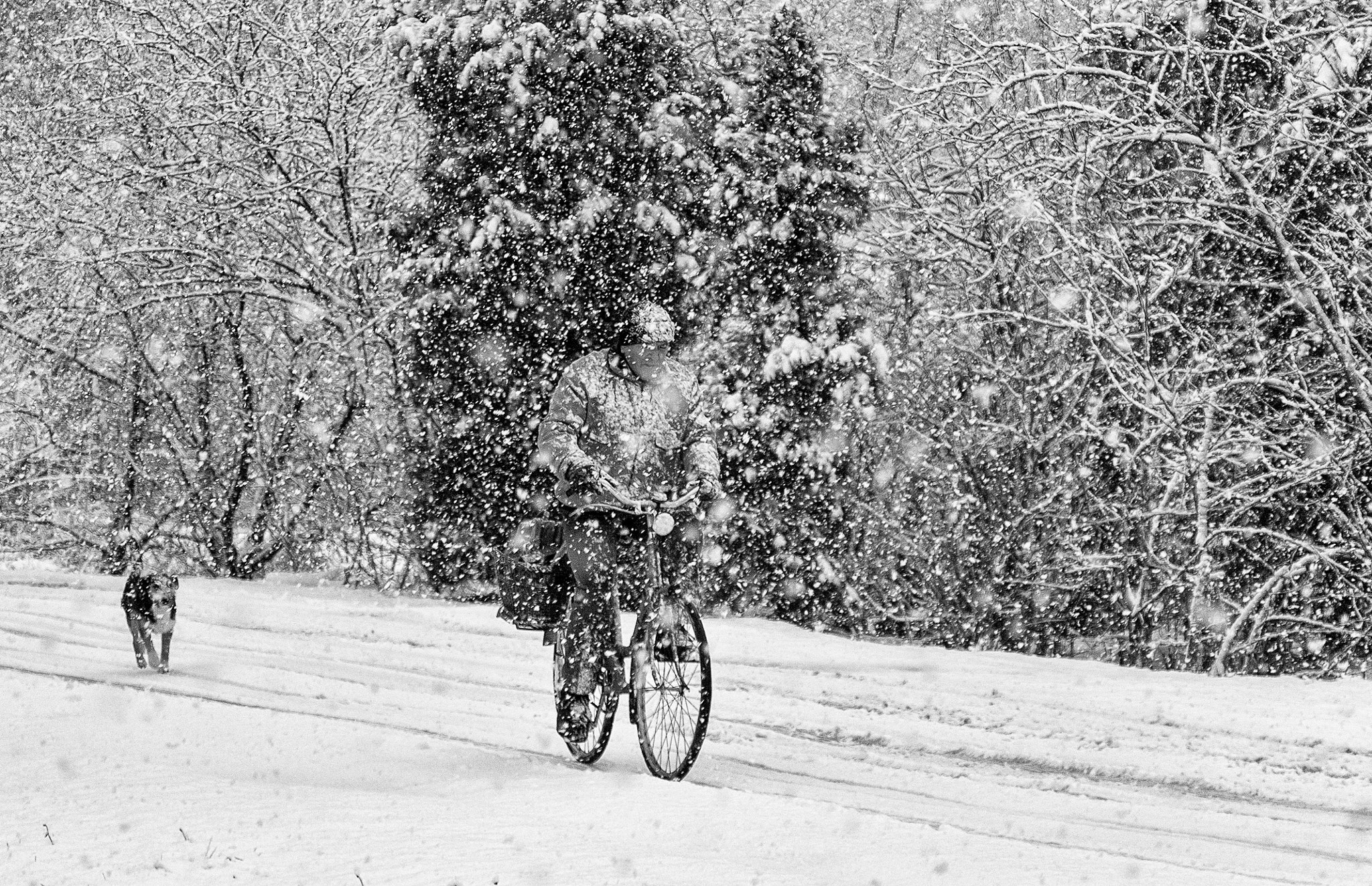 Canon EOS 1100D (EOS Rebel T3 / EOS Kiss X50) sample photo. It's a hard time to ride a bicycle photography