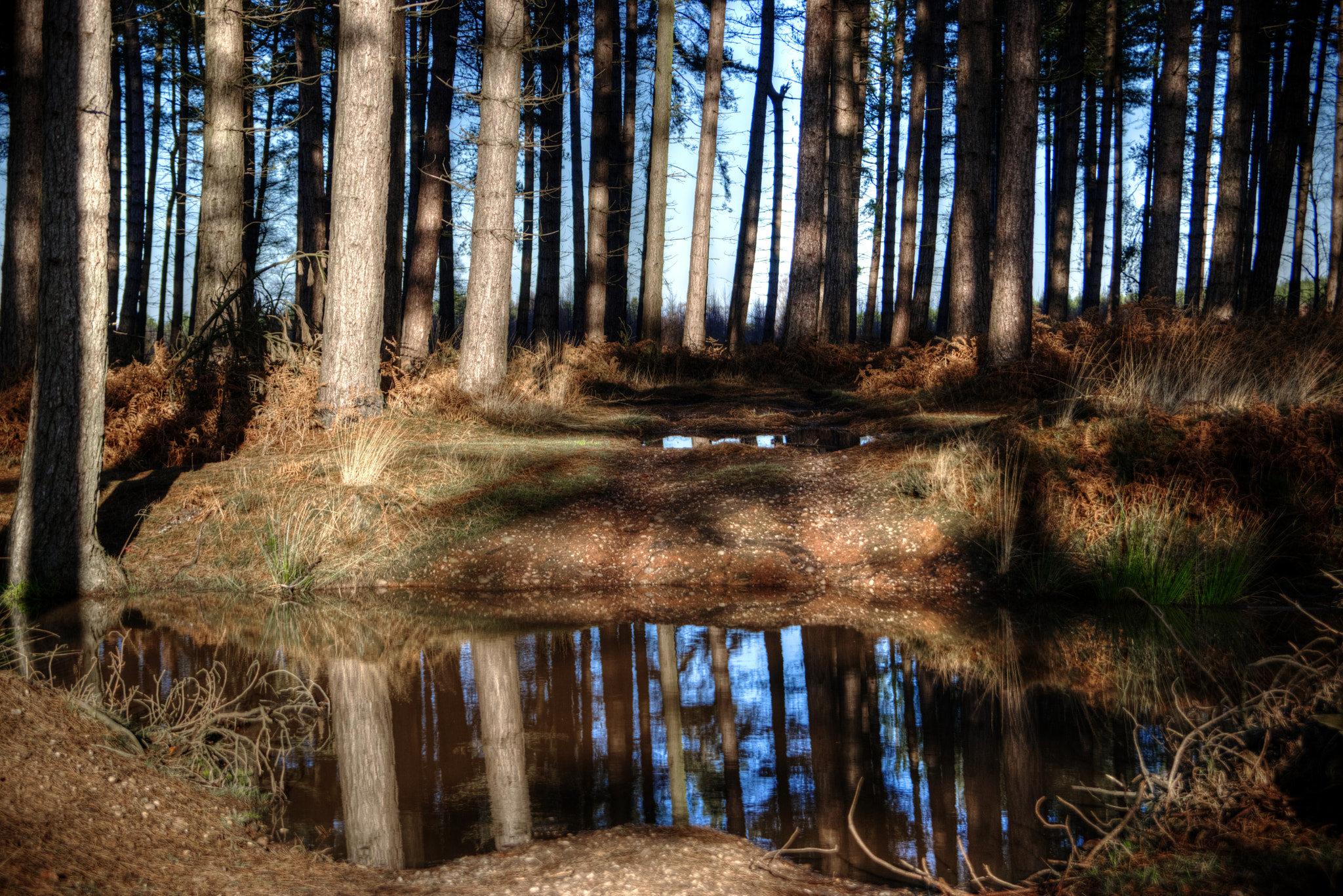 Sigma 17-50mm F2.8 EX DC OS HSM sample photo. Reflections  photography