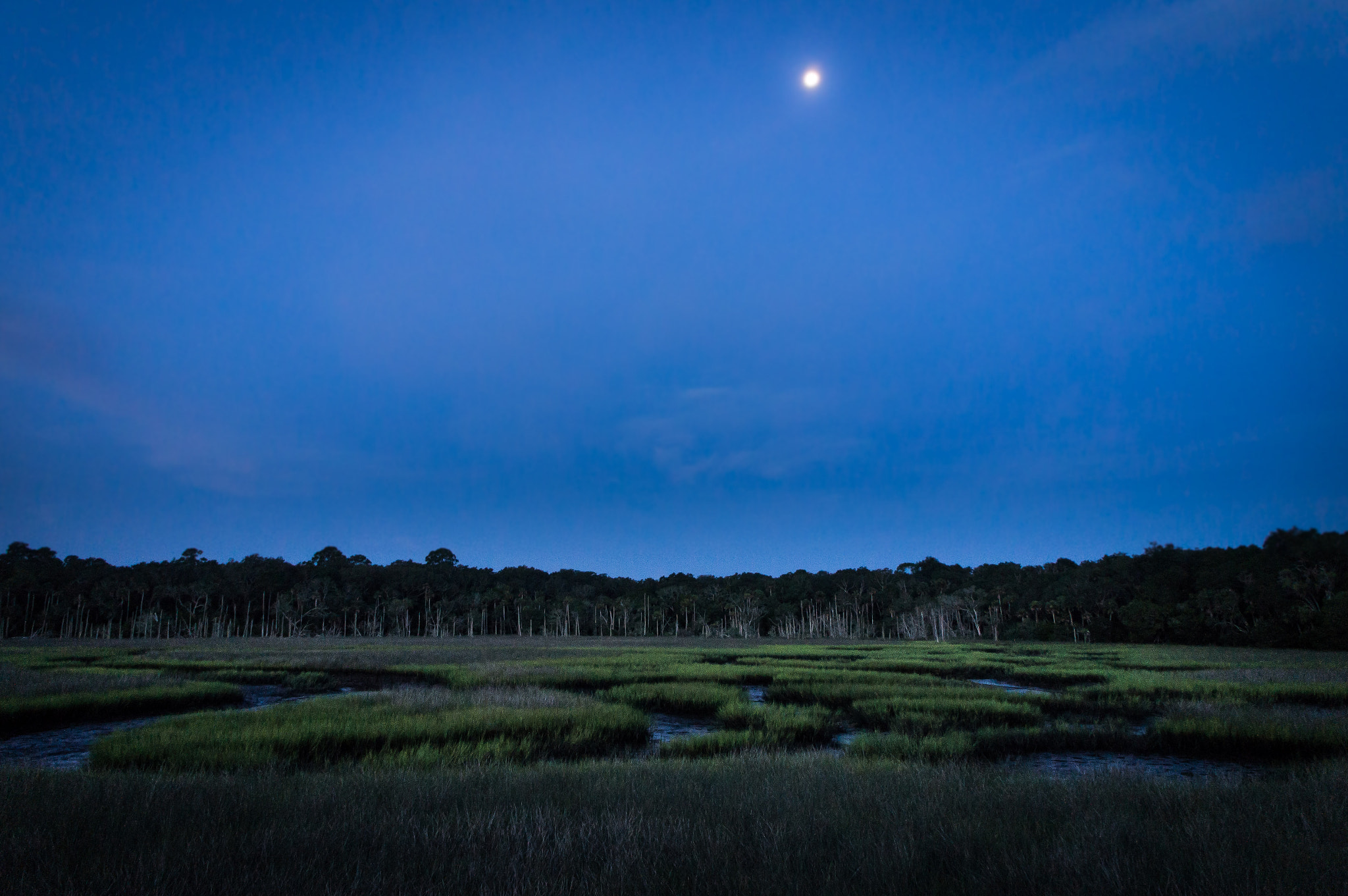 Sony Alpha NEX-C3 + Sony E 18-55mm F3.5-5.6 OSS sample photo. First coast, florida photography