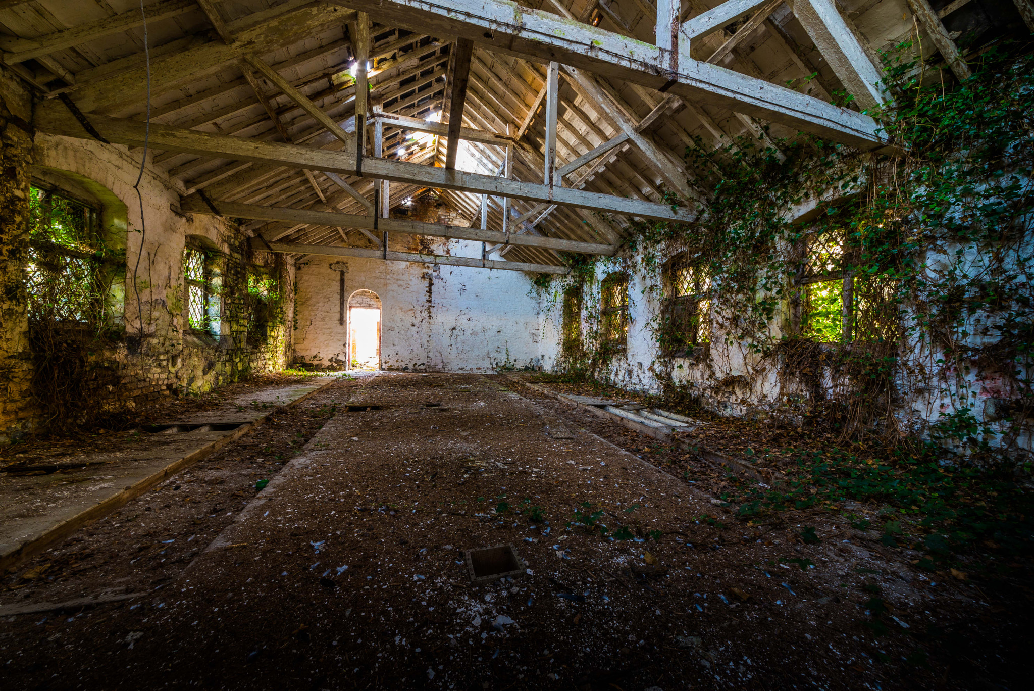 Sigma 12-24mm F4.5-5.6 II DG HSM sample photo. When nature takes over photography