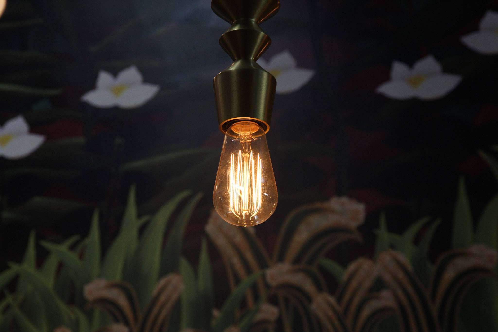 Canon EOS 600D (Rebel EOS T3i / EOS Kiss X5) sample photo. January 13: lotus & light photography