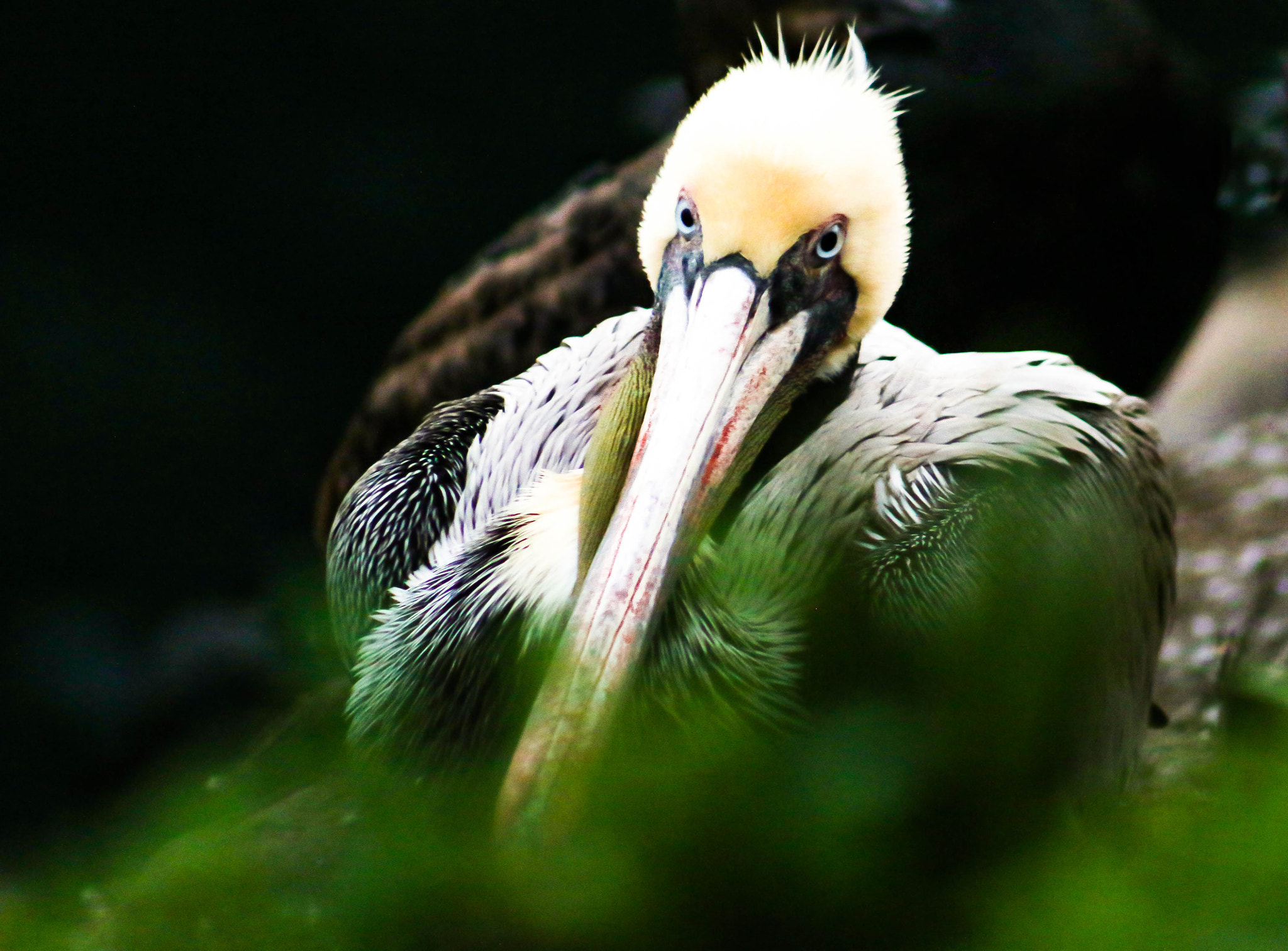 Canon EF 75-300mm f/4-5.6 USM sample photo. I see you photography