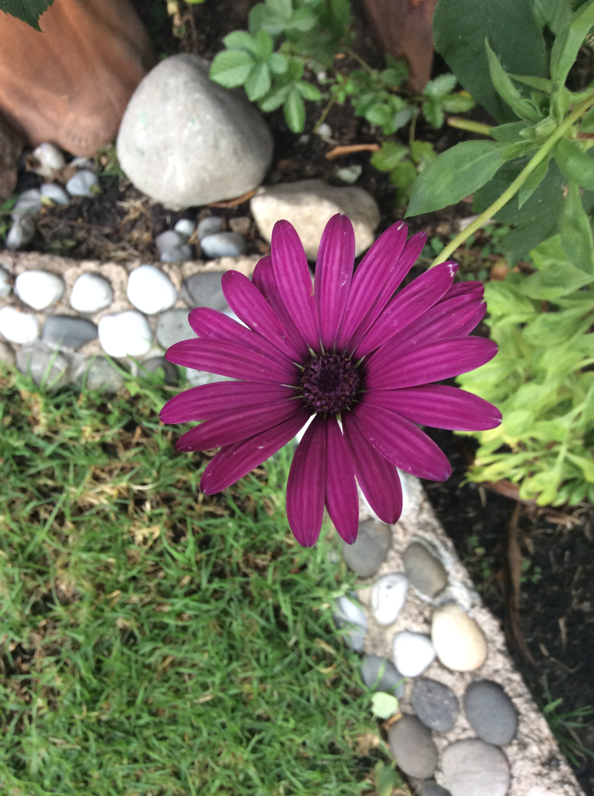 Apple iPad mini 3 sample photo