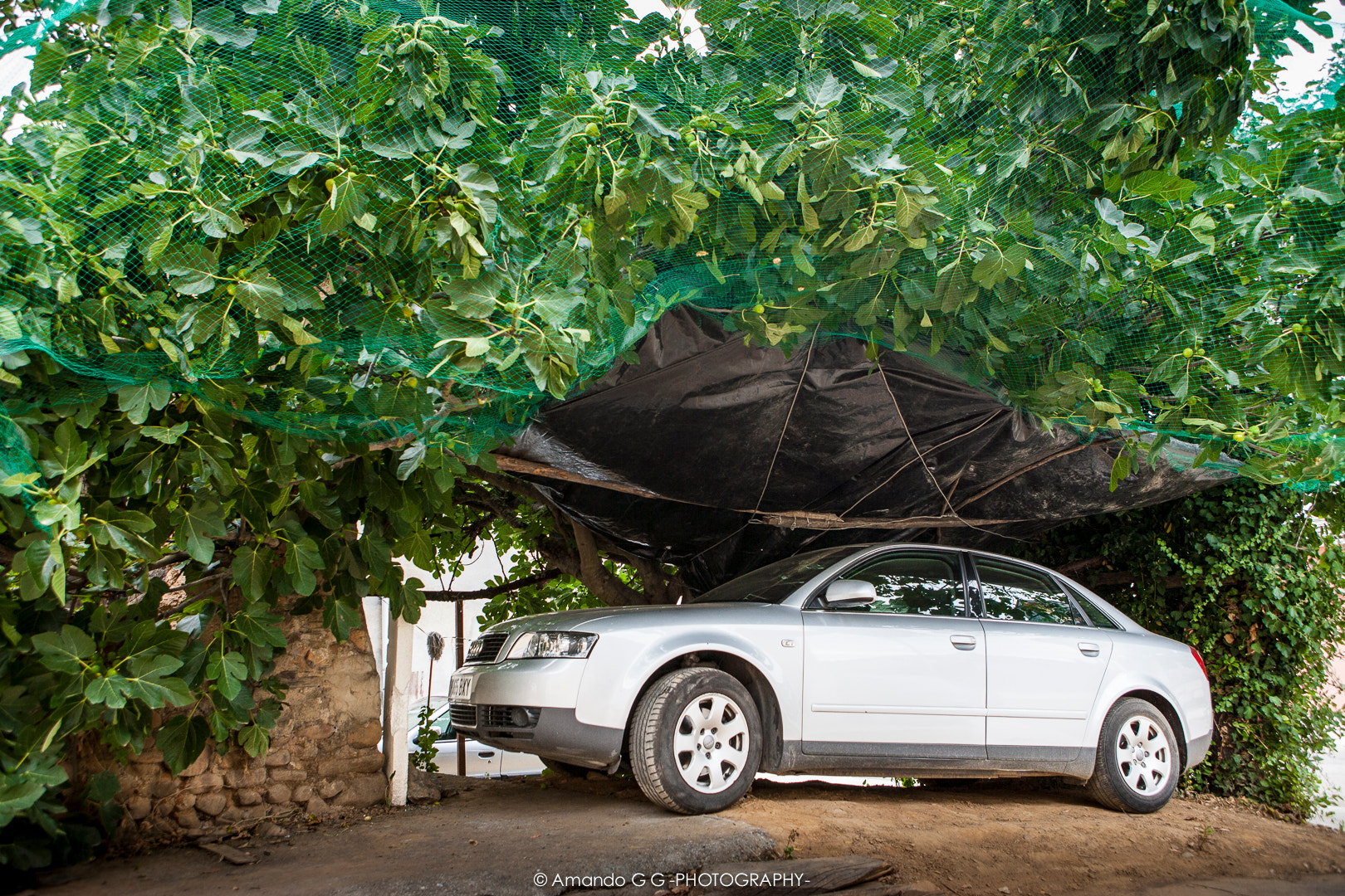 Canon EOS-1Ds Mark II sample photo. Parking in my village photography
