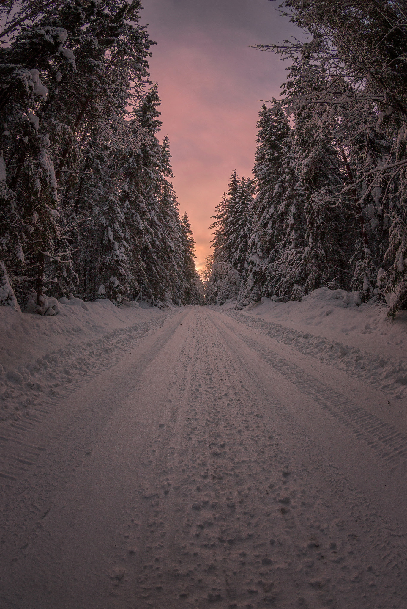 Canon EOS 6D + Canon EF 8-15mm F4L Fisheye USM sample photo. Facing west photography