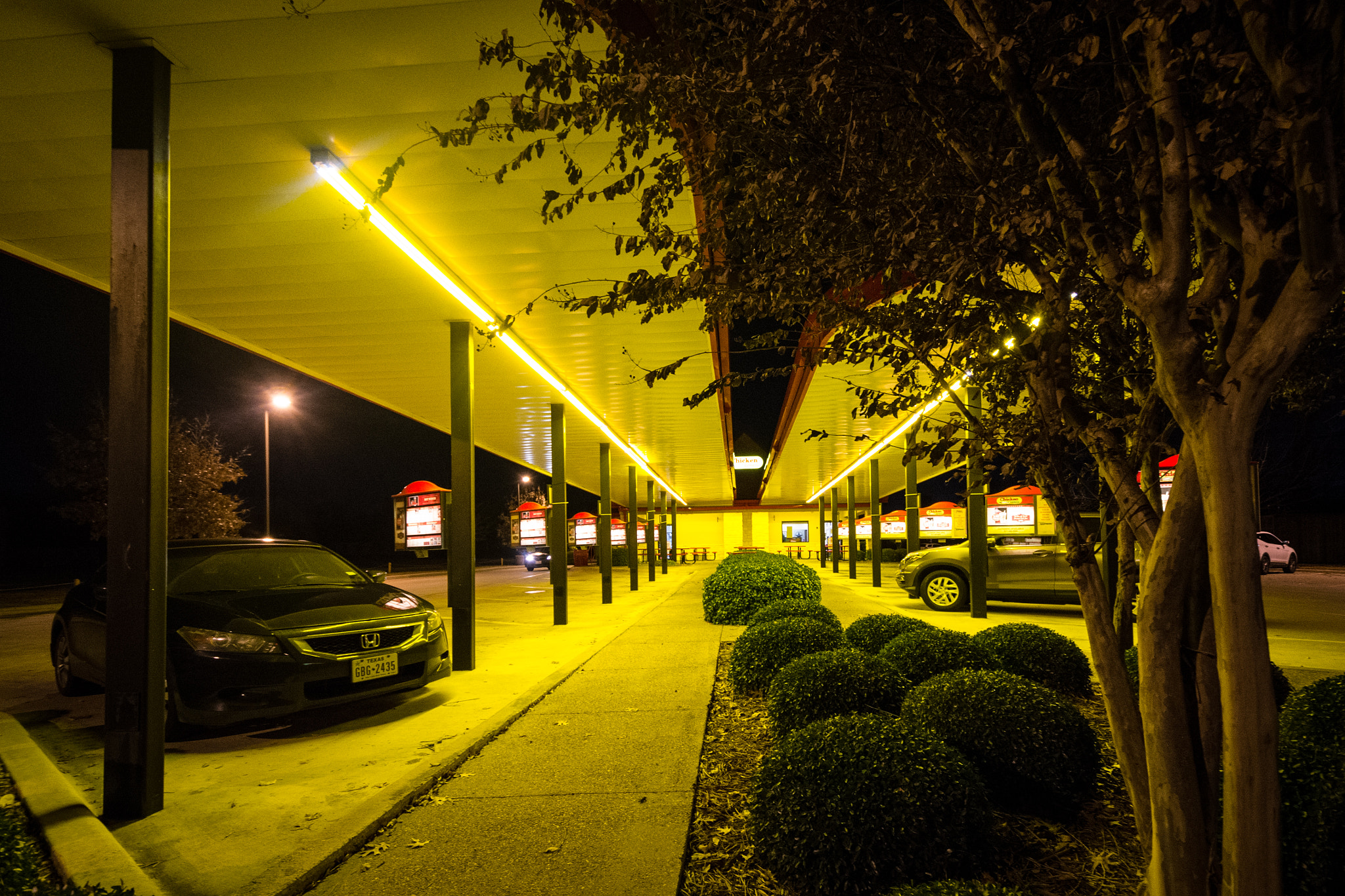 Nikon D800 sample photo. Chicken express photography