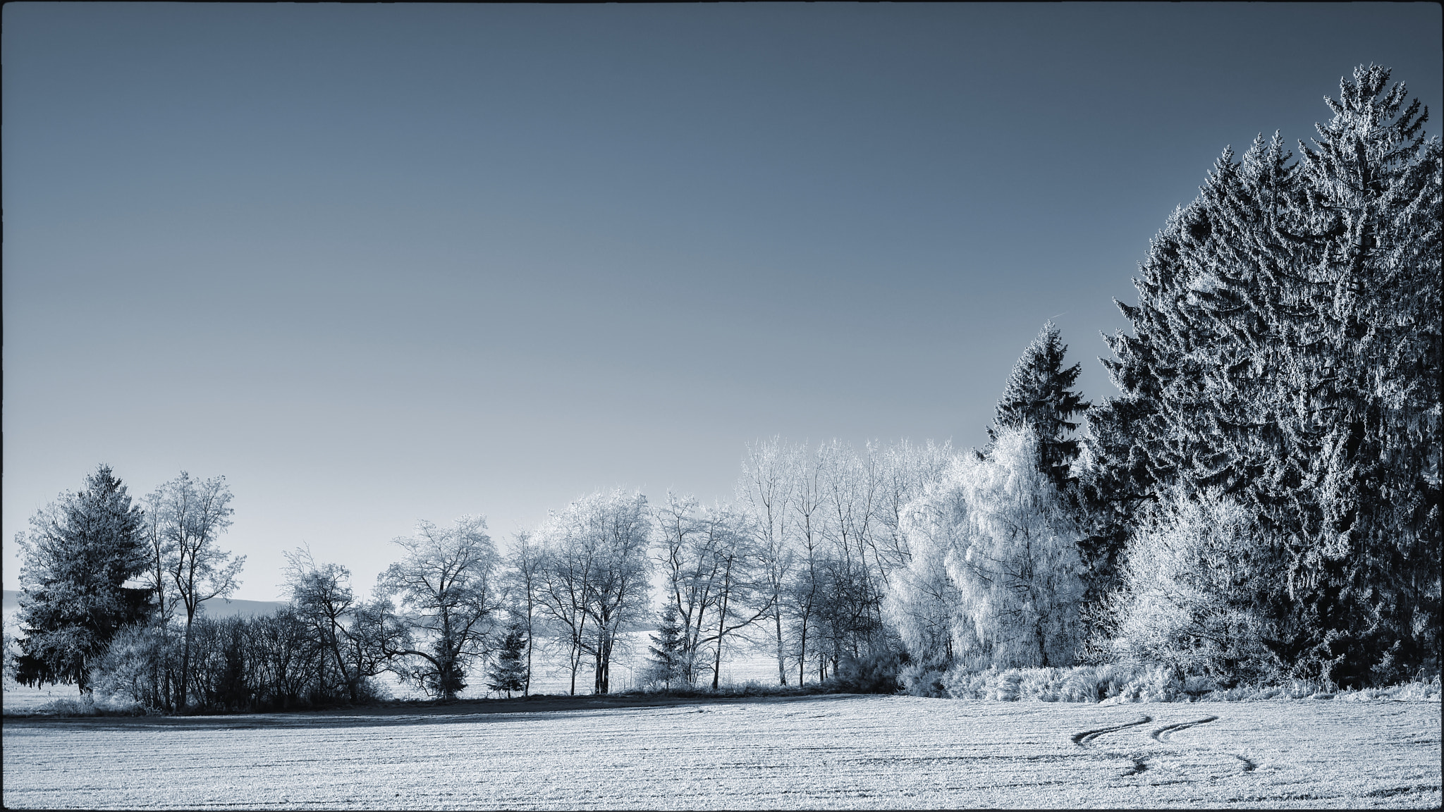 Fujifilm X-T1 + Fujifilm XF 27mm F2.8 sample photo. Frostbitten ii photography