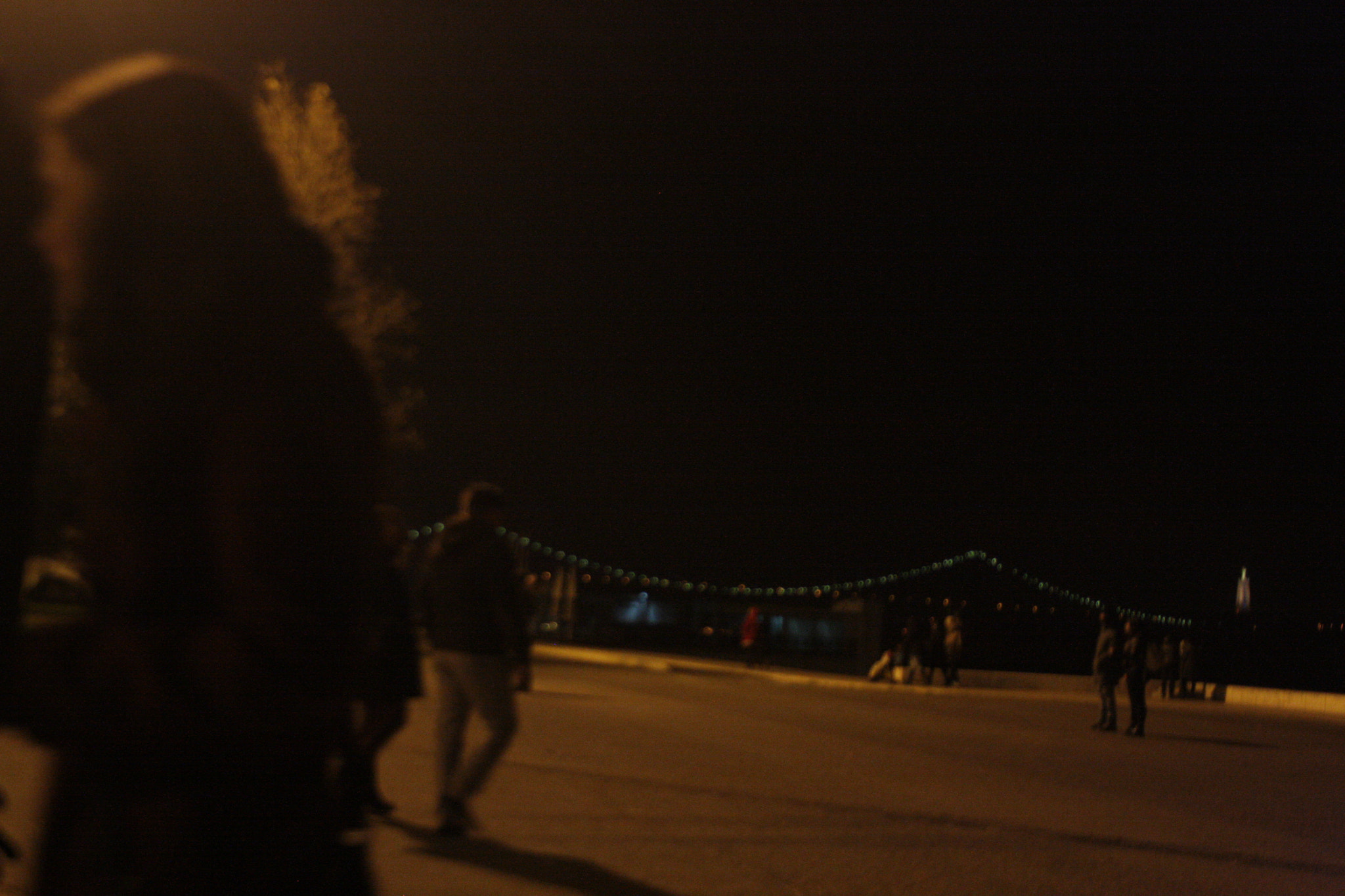 Canon EOS 1000D (EOS Digital Rebel XS / EOS Kiss F) sample photo. It seems like a mistake photography