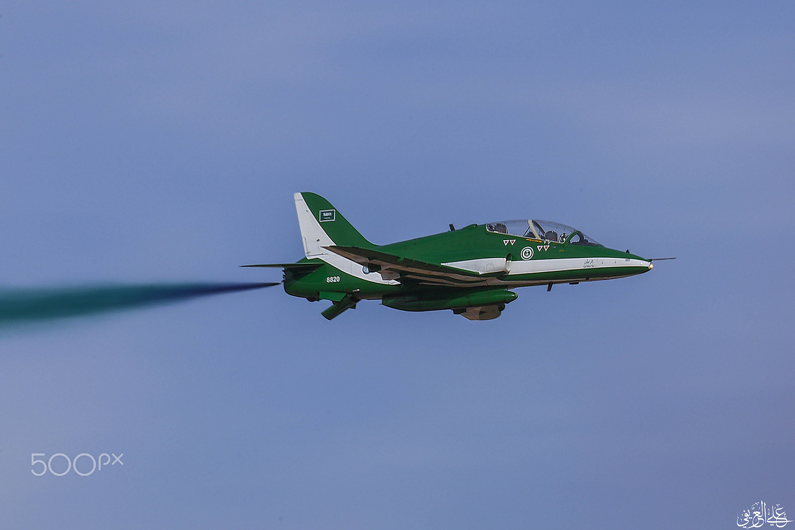 Canon EF 200-400mm F4L IS USM Extender 1.4x sample photo. I photography