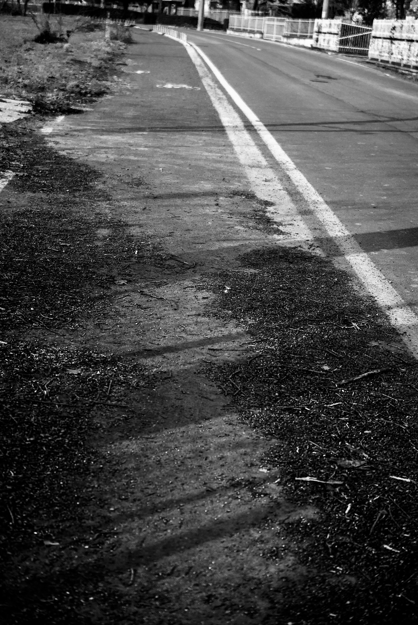 Nikon AF-S DX Micro Nikkor 40mm F2.8 sample photo. Life in black and white photography