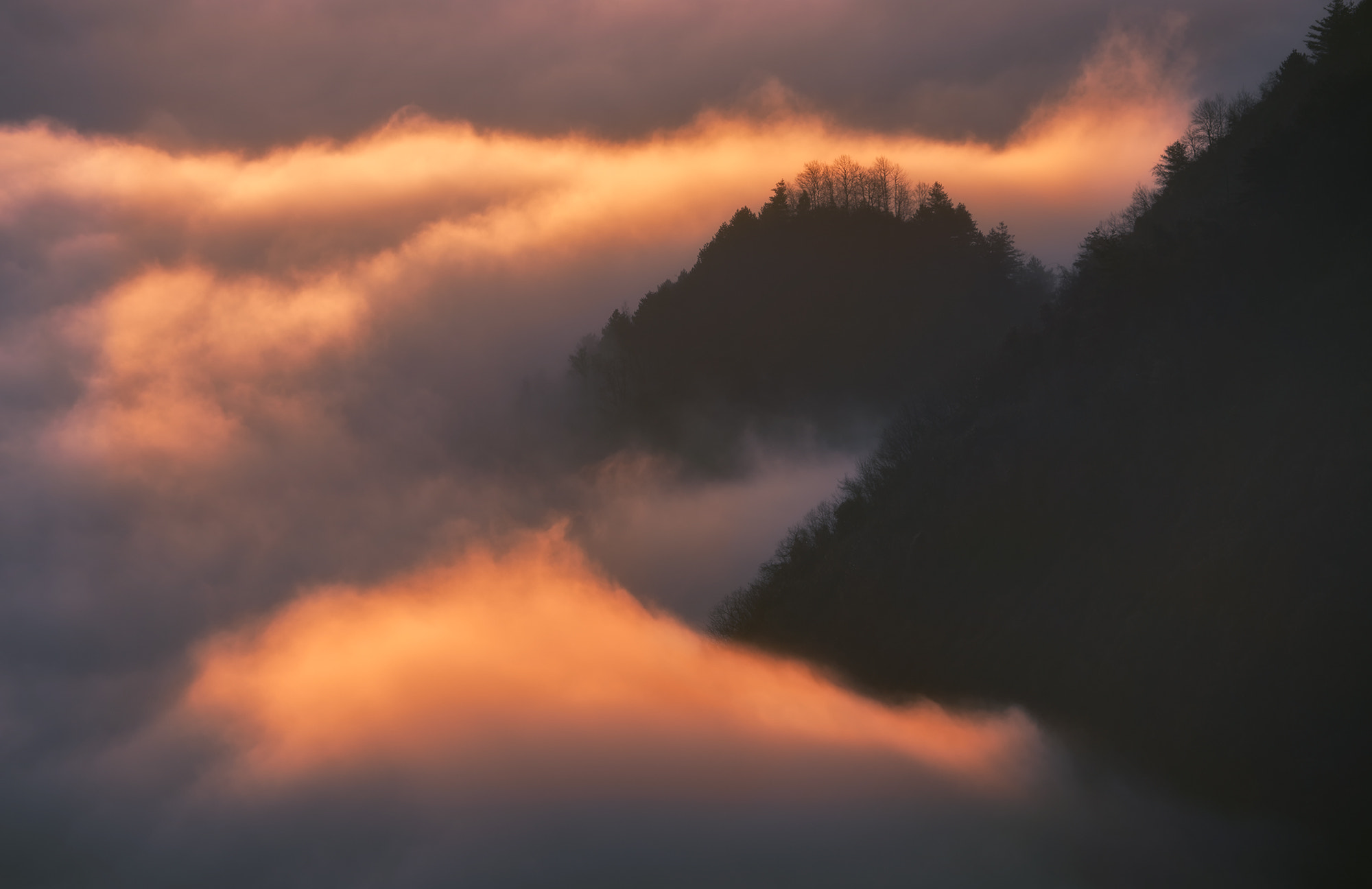 Canon EOS 6D + Canon EF 70-300mm F4.5-5.6 DO IS USM sample photo. Golden morning mist photography