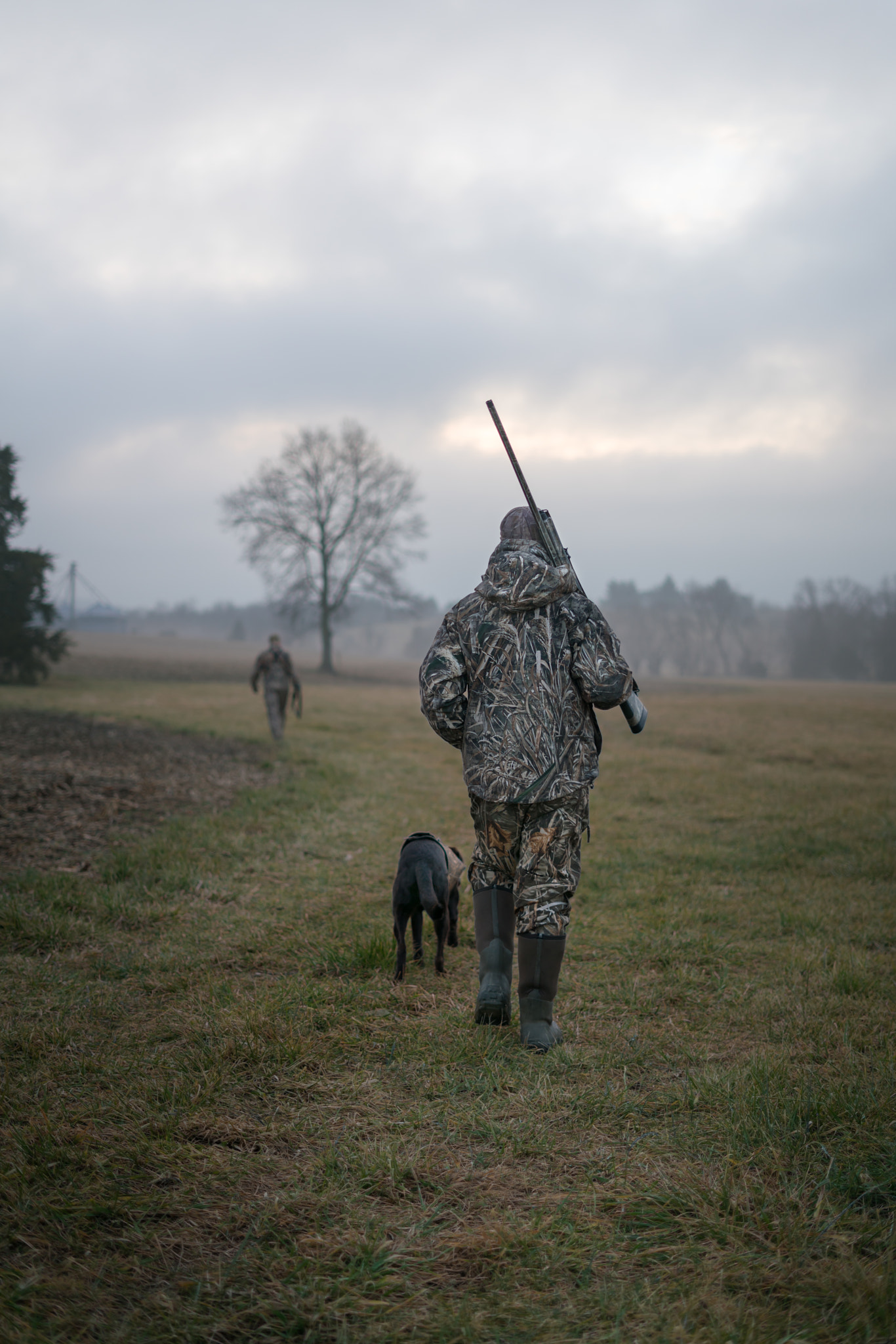 Sony a7R II + Sony FE 50mm F1.8 sample photo. Farm stroll for migratory birds photography