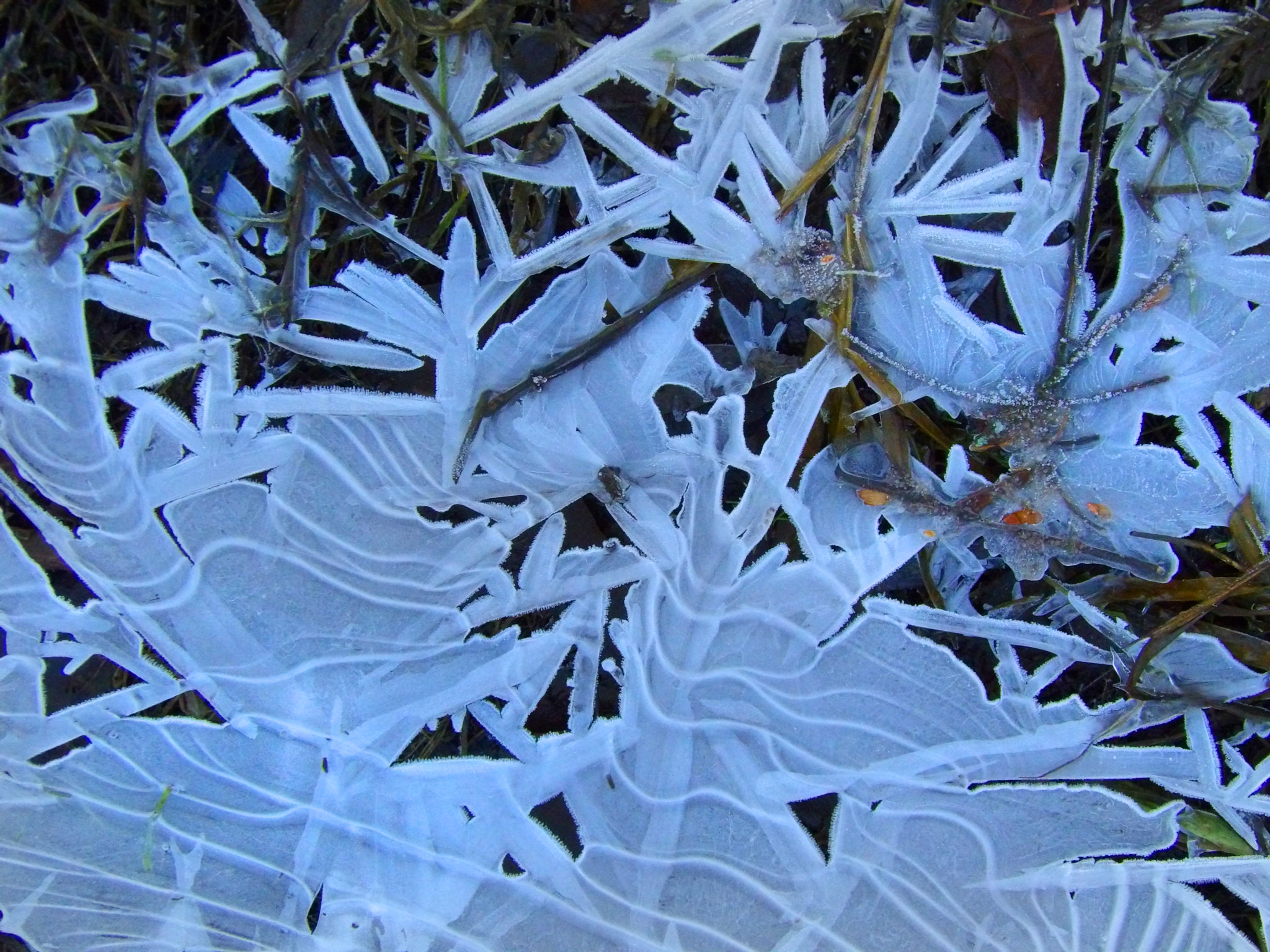 Kodak PIXPRO AZ521 sample photo. Ice patterns photography