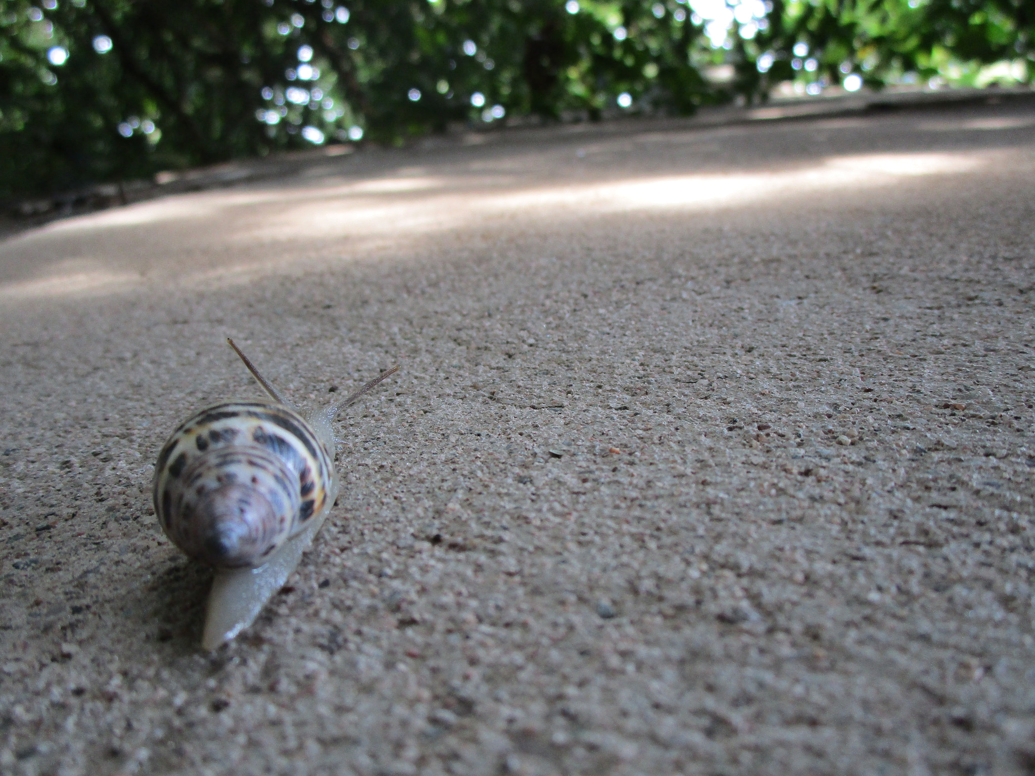 Canon PowerShot ELPH 190 IS (IXUS 180 / IXY 190) sample photo. Going up photography